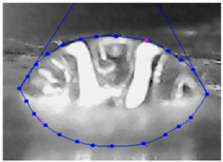 Applsci 15 04084 i001