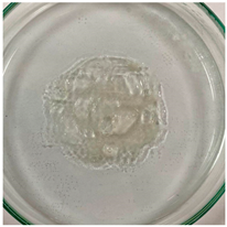 Applsci 15 04084 i010