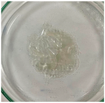 Applsci 15 04084 i011