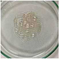 Applsci 15 04084 i012