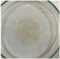 Applsci 15 04084 i013