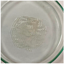 Applsci 15 04084 i014