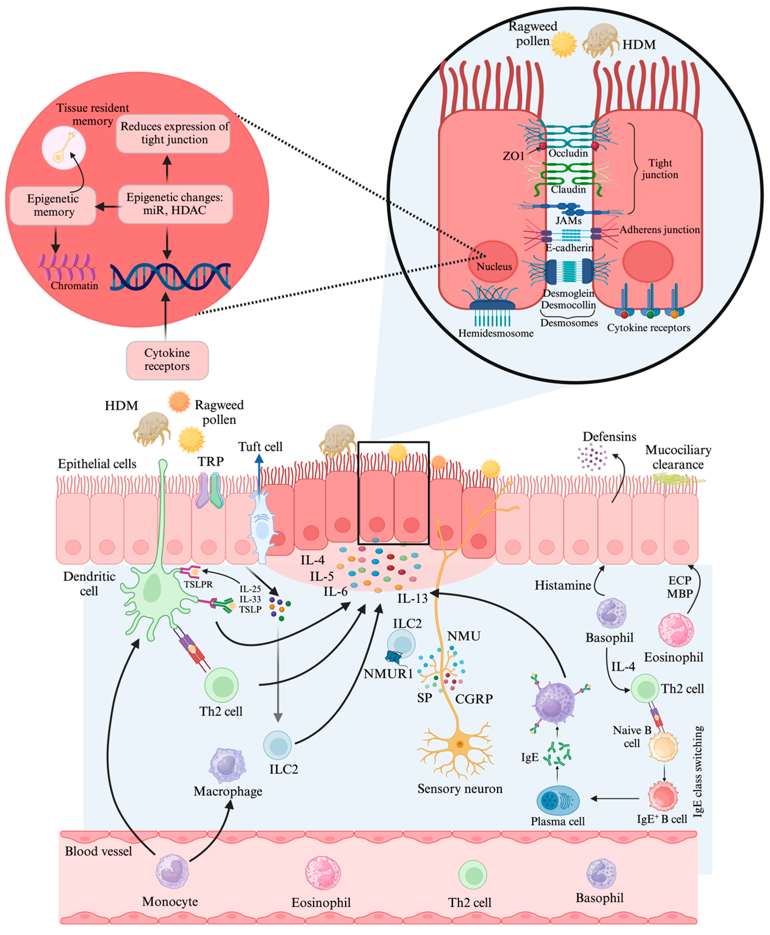 Applsci 15 04113 g001