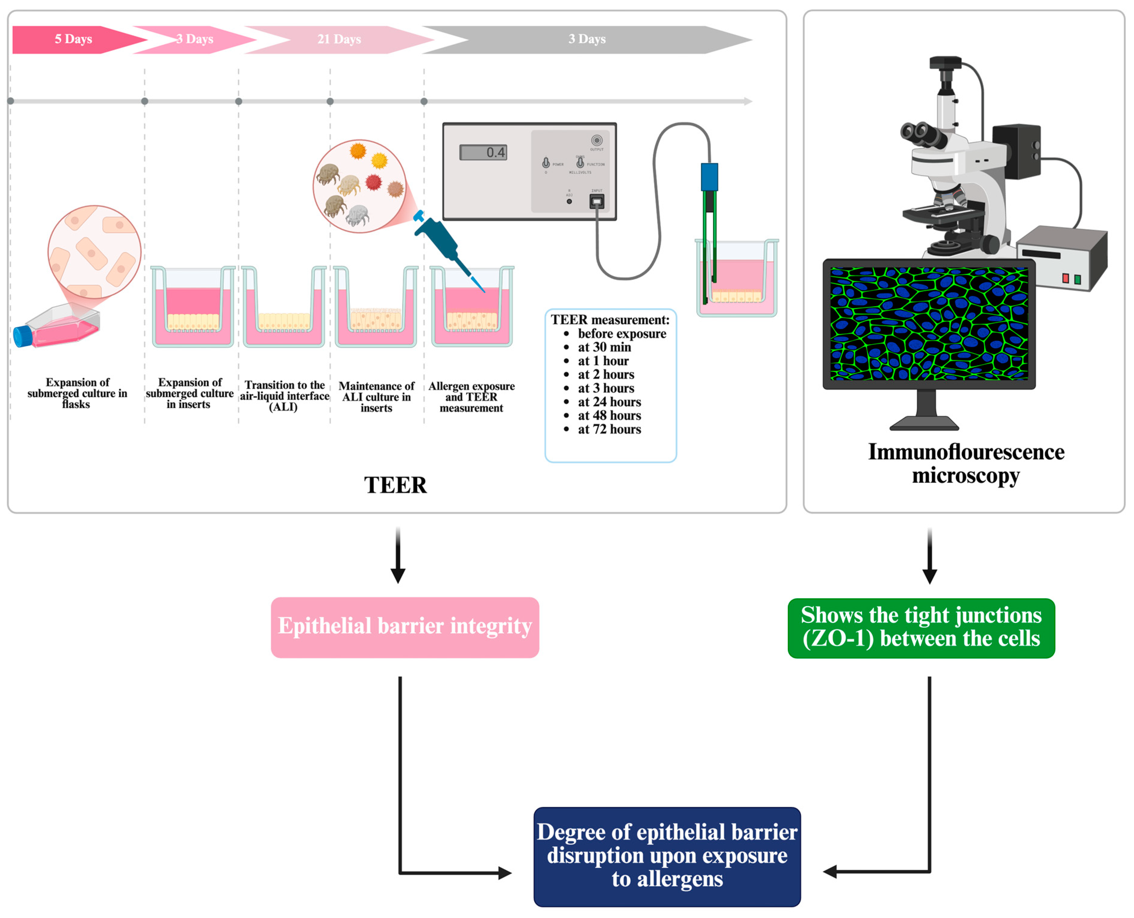 Applsci 15 04113 g002