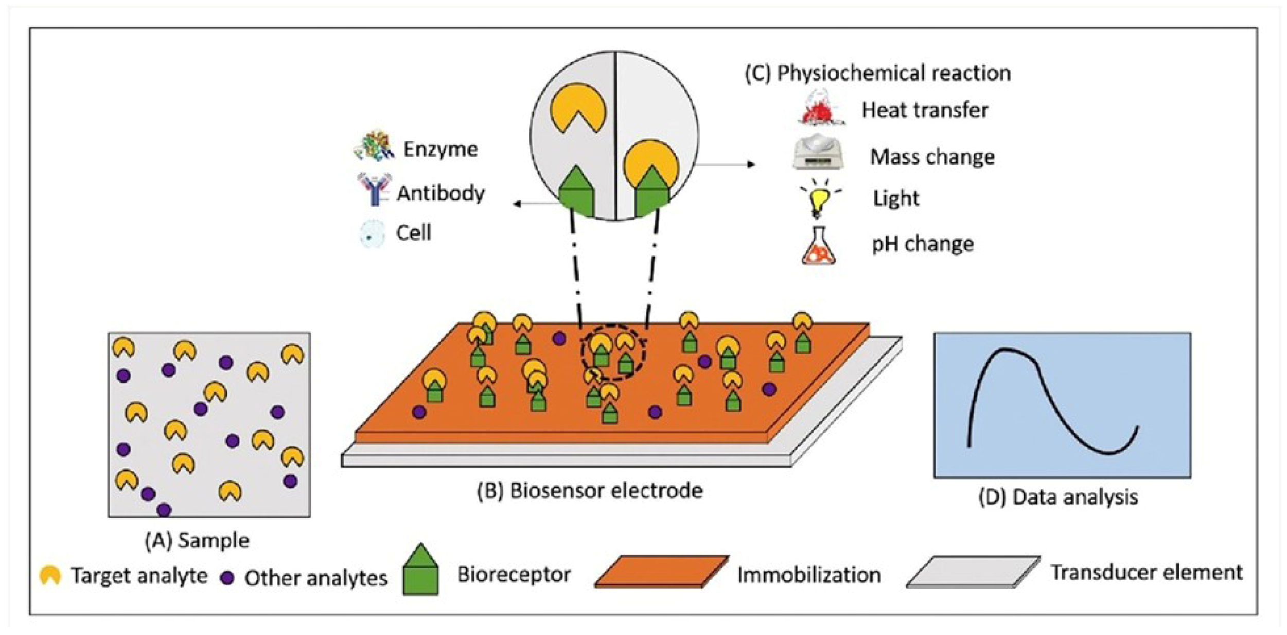 Applsci 15 04145 g002