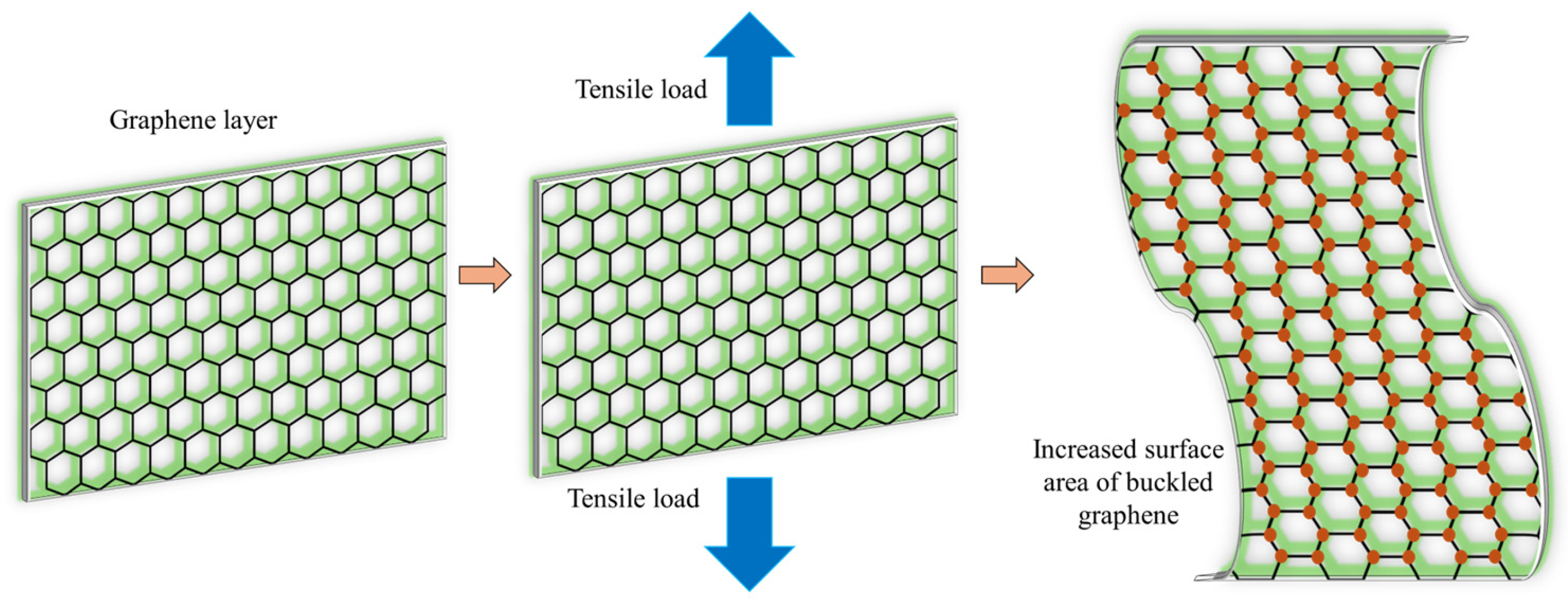 Applsci 15 04145 g005