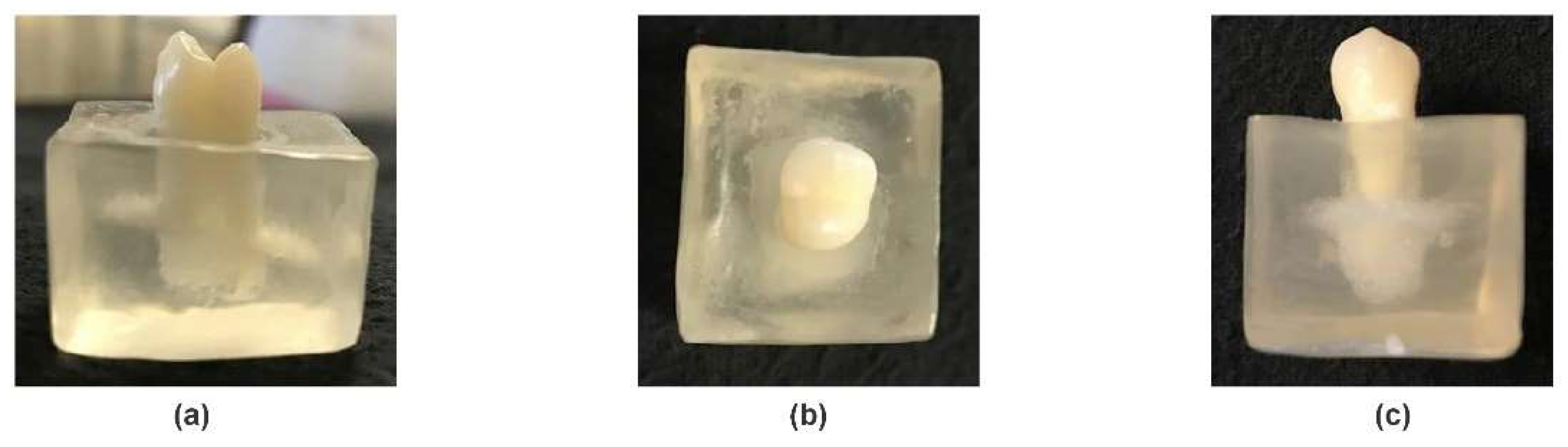 Applsci 15 04160 g001