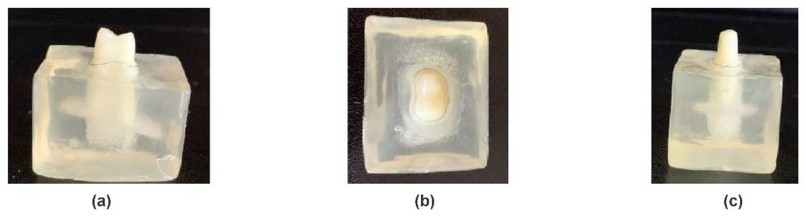 Applsci 15 04160 g005