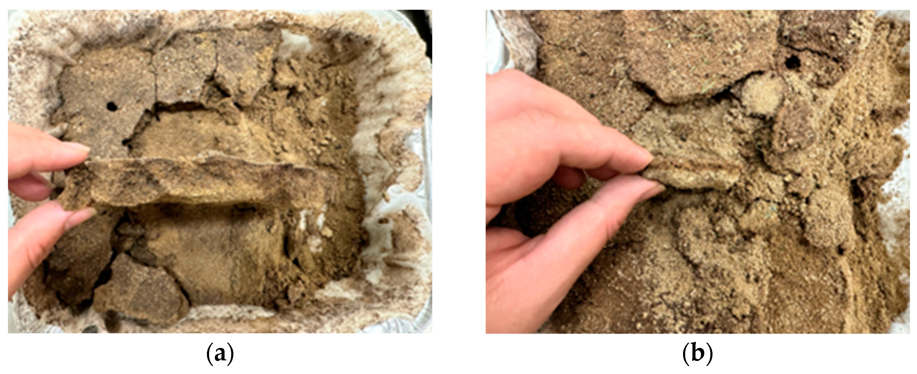 Applsci 15 04173 g006