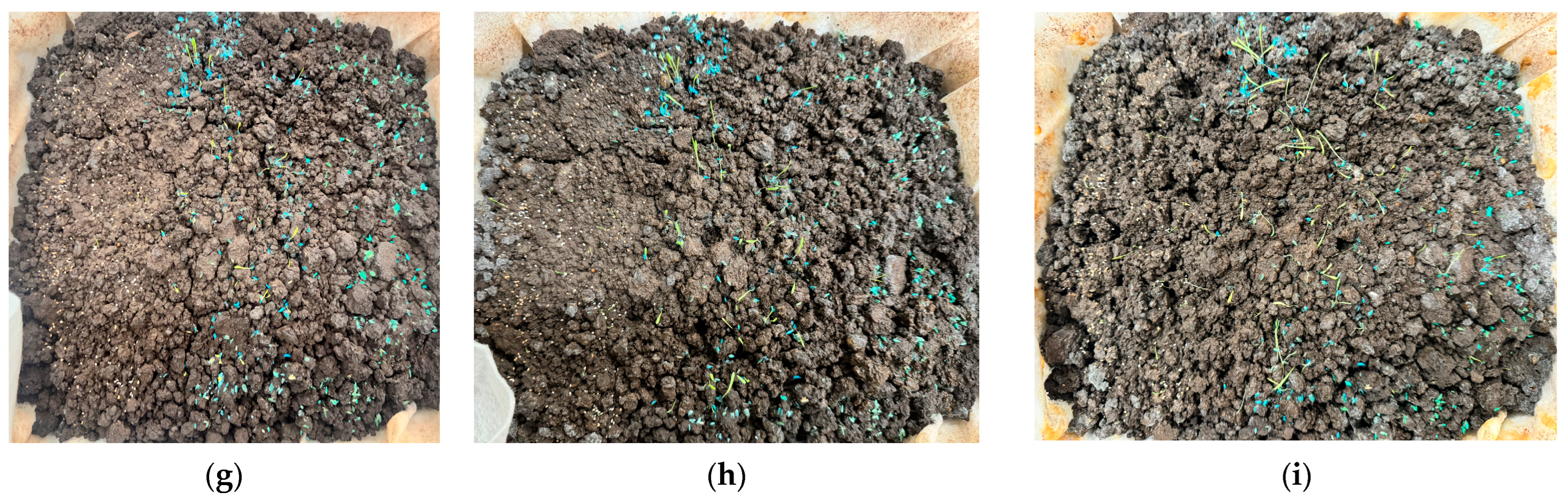 Applsci 15 04173 g008b