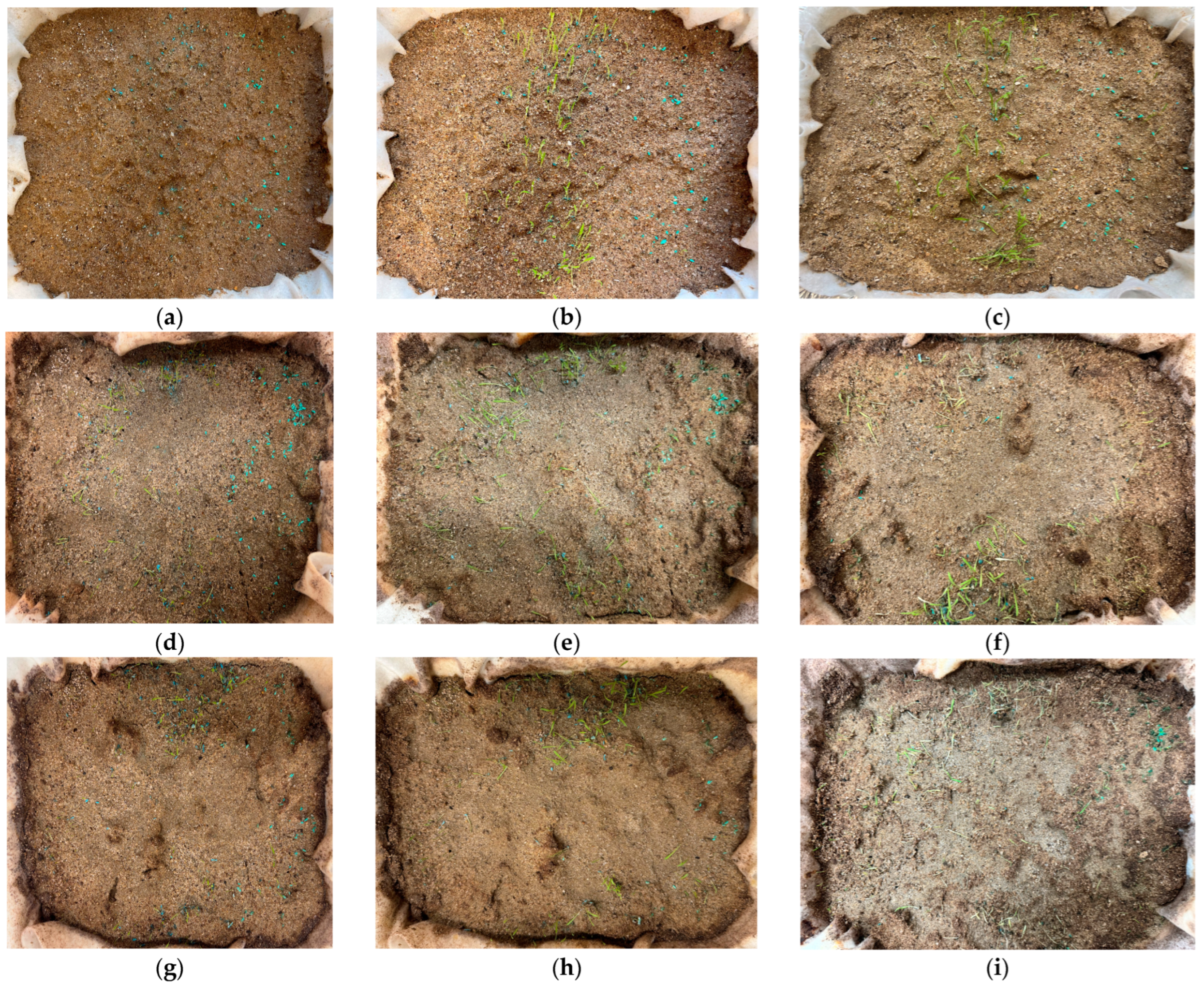 Applsci 15 04173 g009