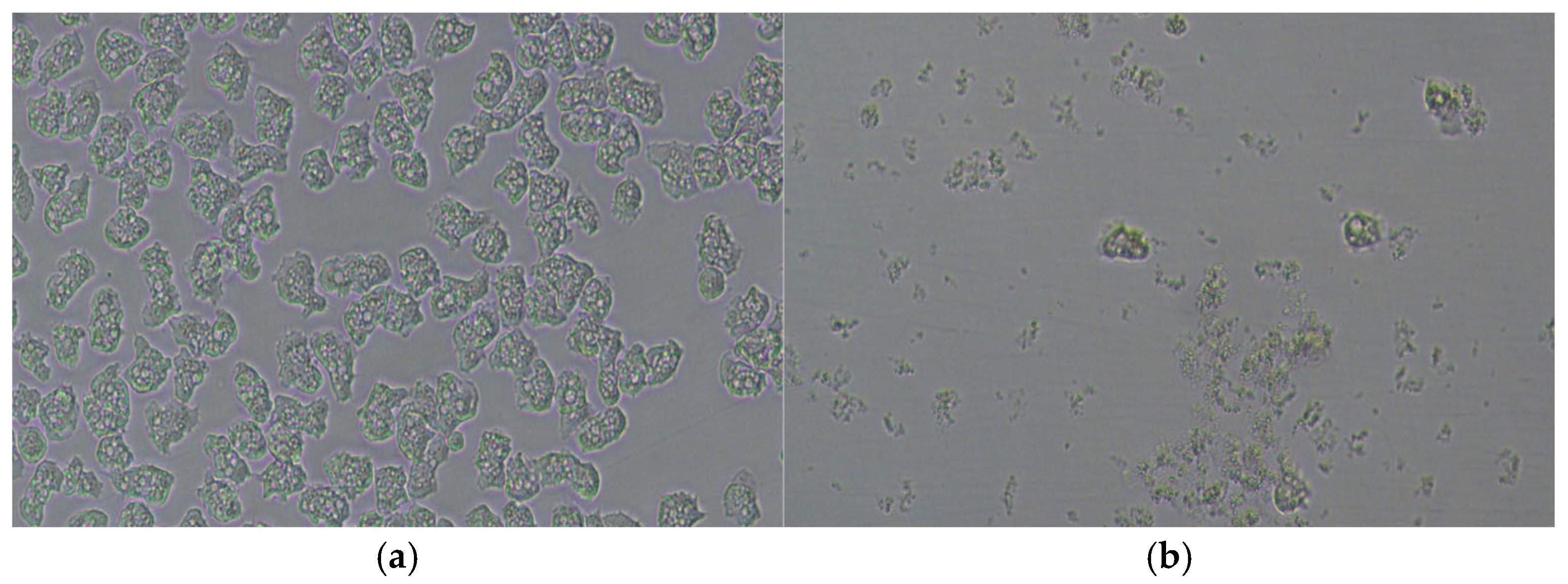 Applsci 15 04198 g004