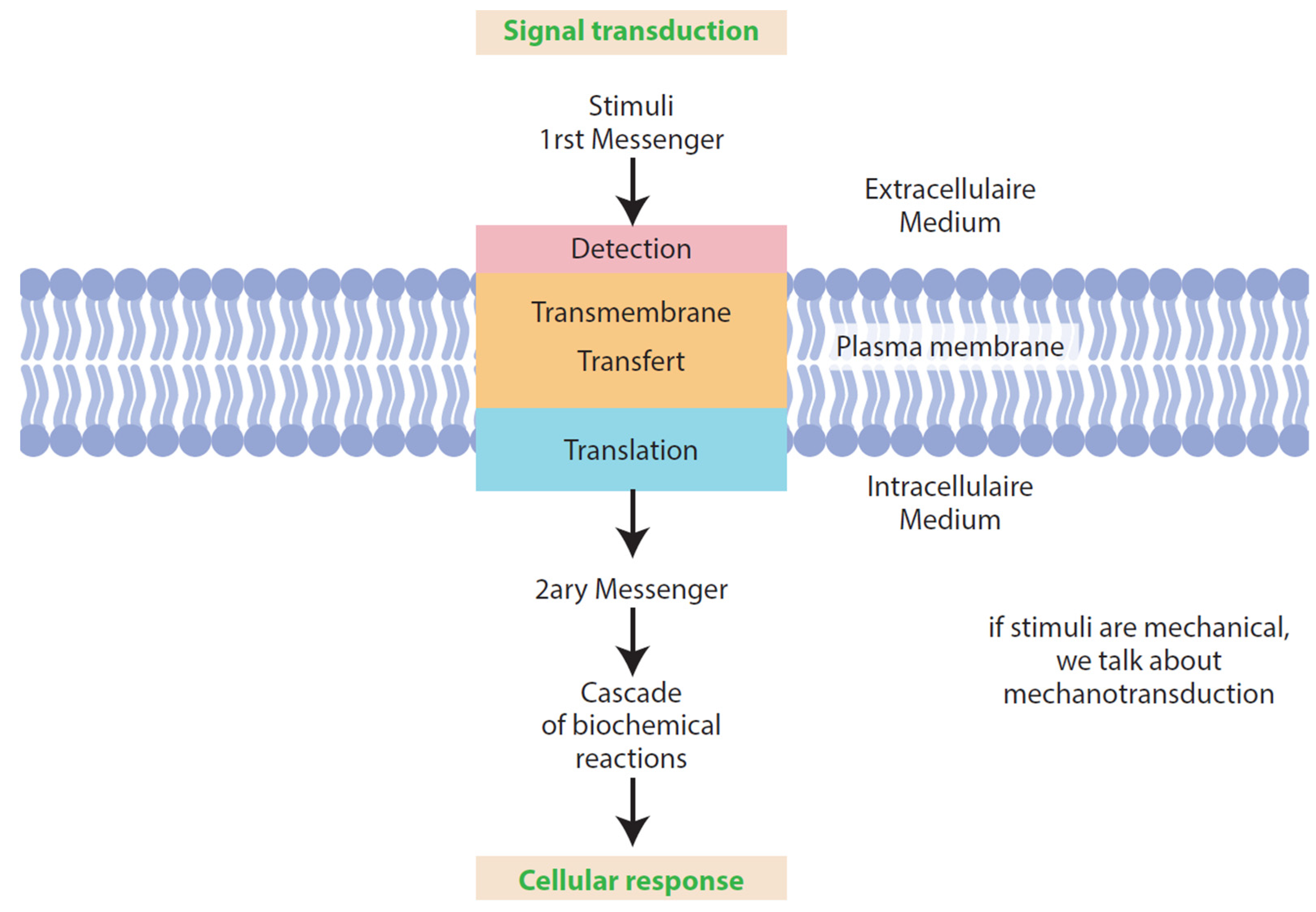 Applsci 15 04313 g002