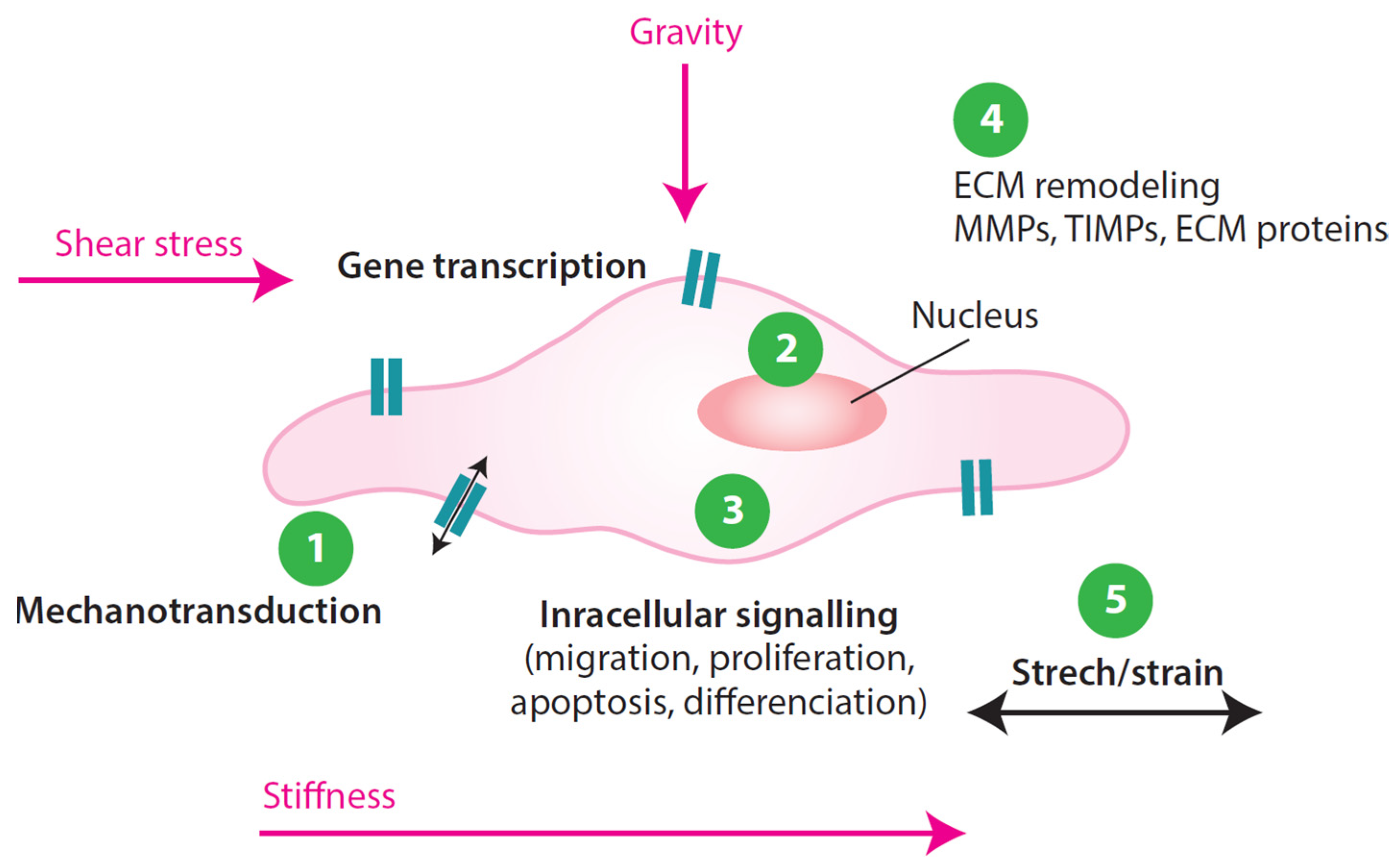 Applsci 15 04313 g003