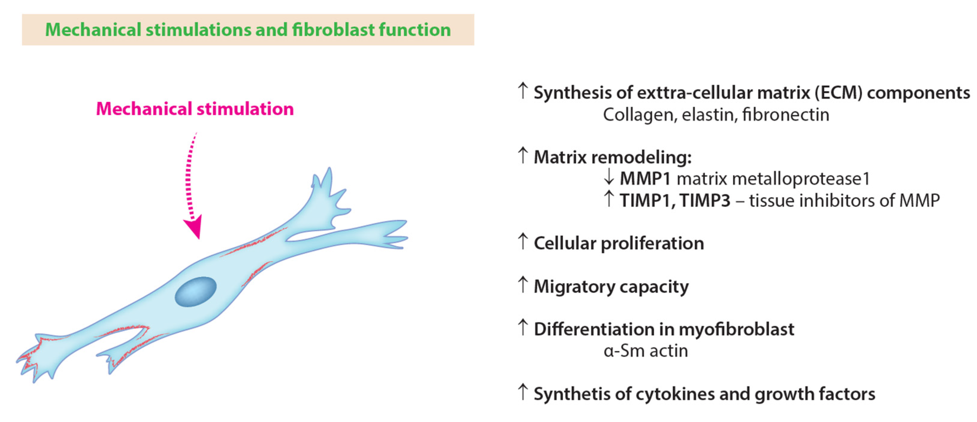 Applsci 15 04313 g004
