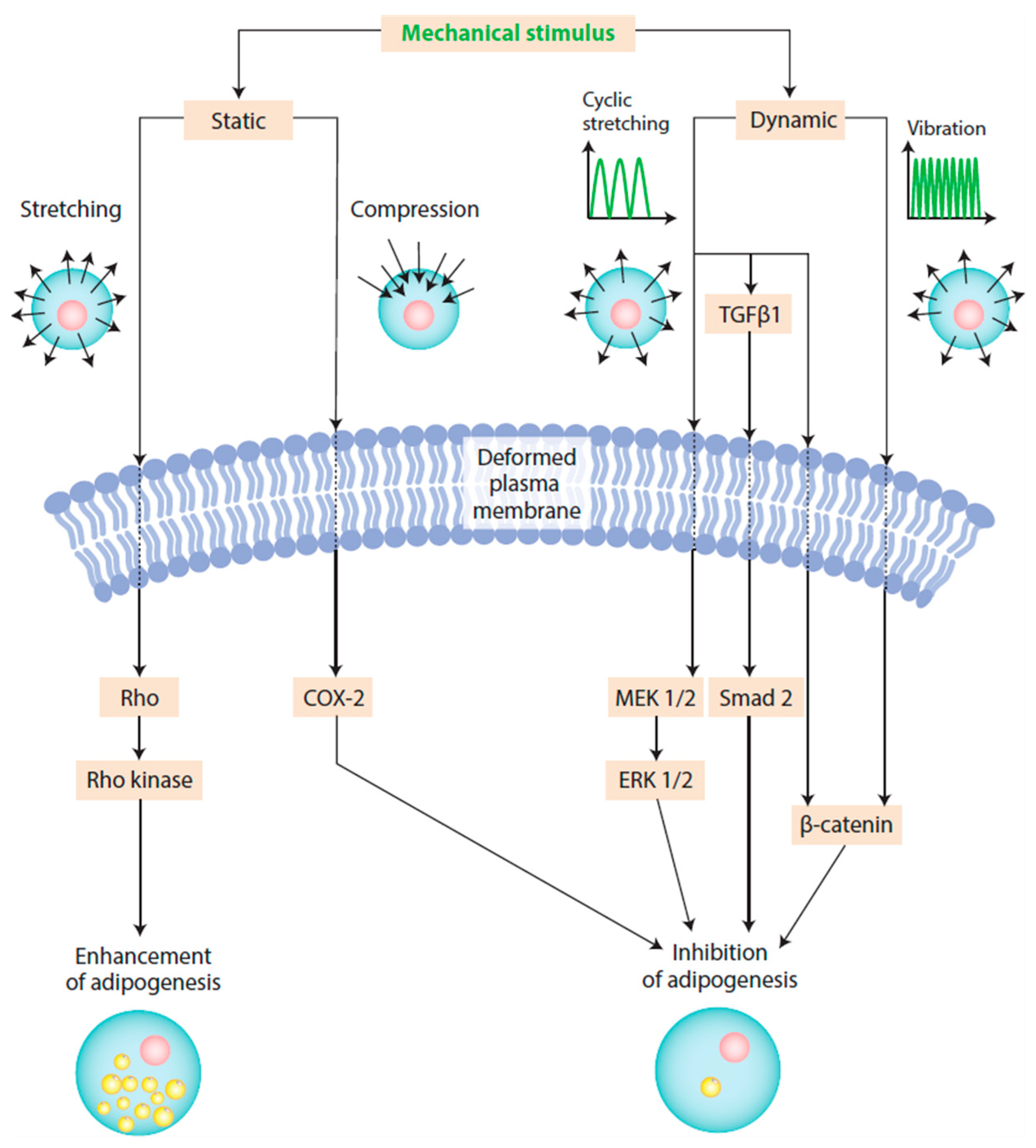 Applsci 15 04313 g005