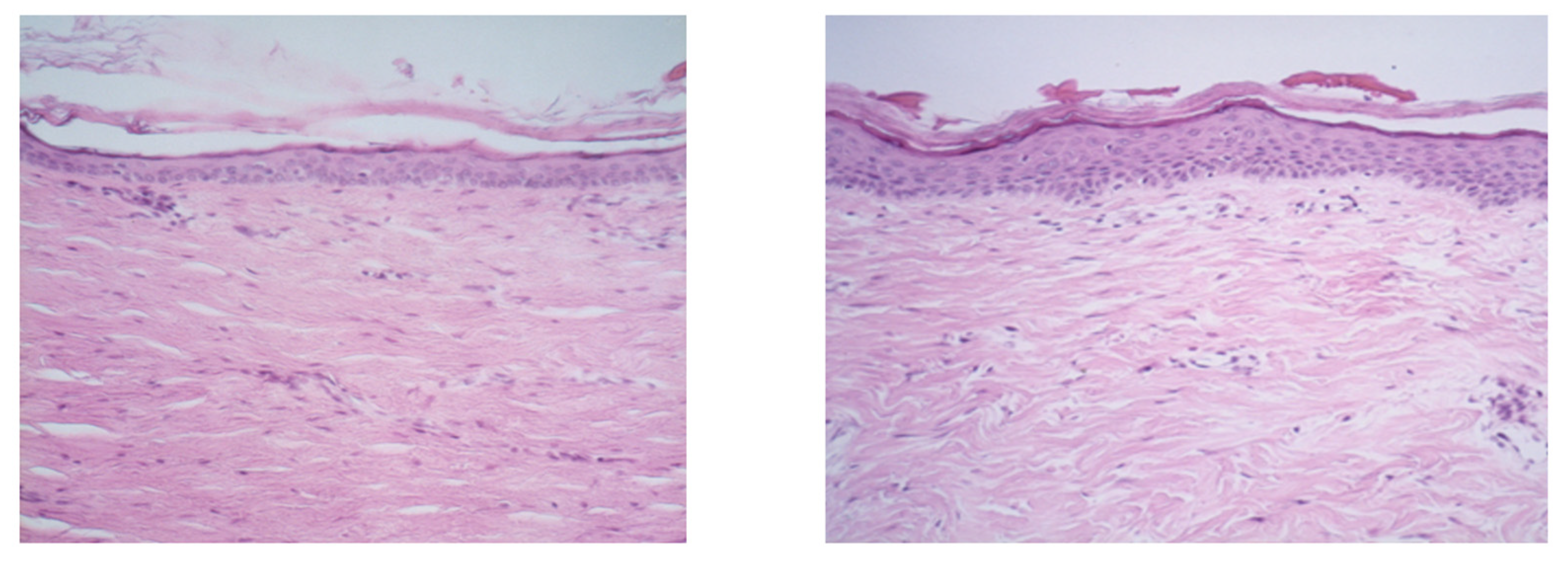 Applsci 15 04313 g006