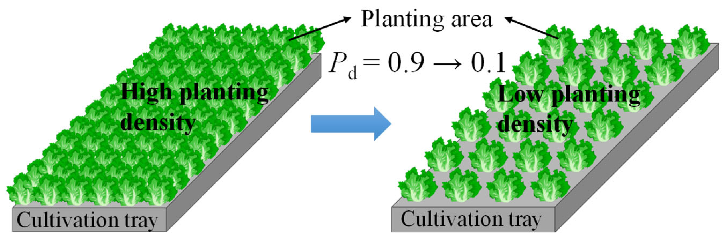 Applsci 15 04329 g002