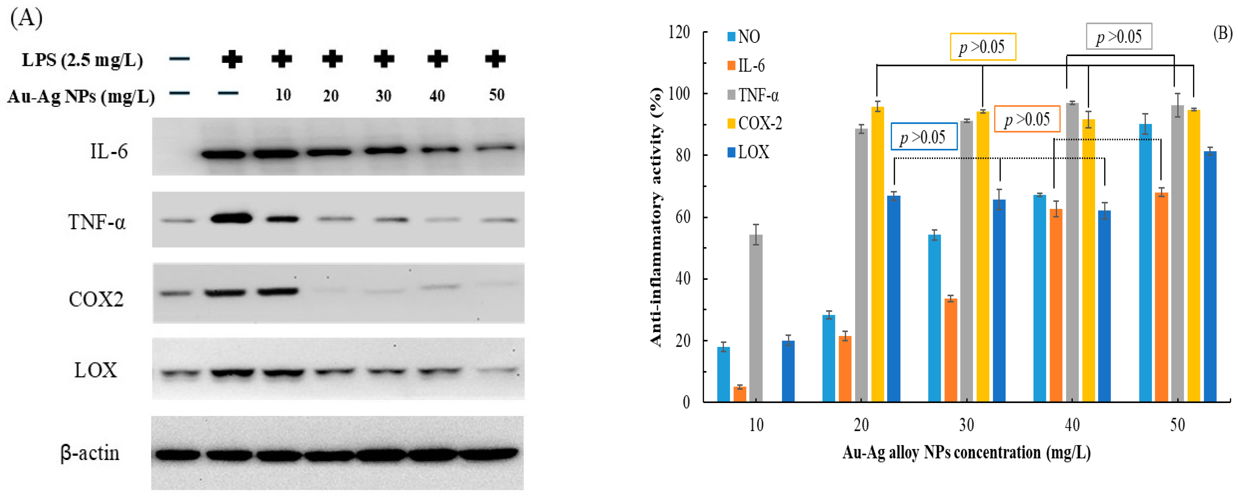 Applsci 15 04345 g004