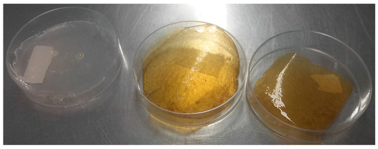 Applsci 15 04423 g0a1