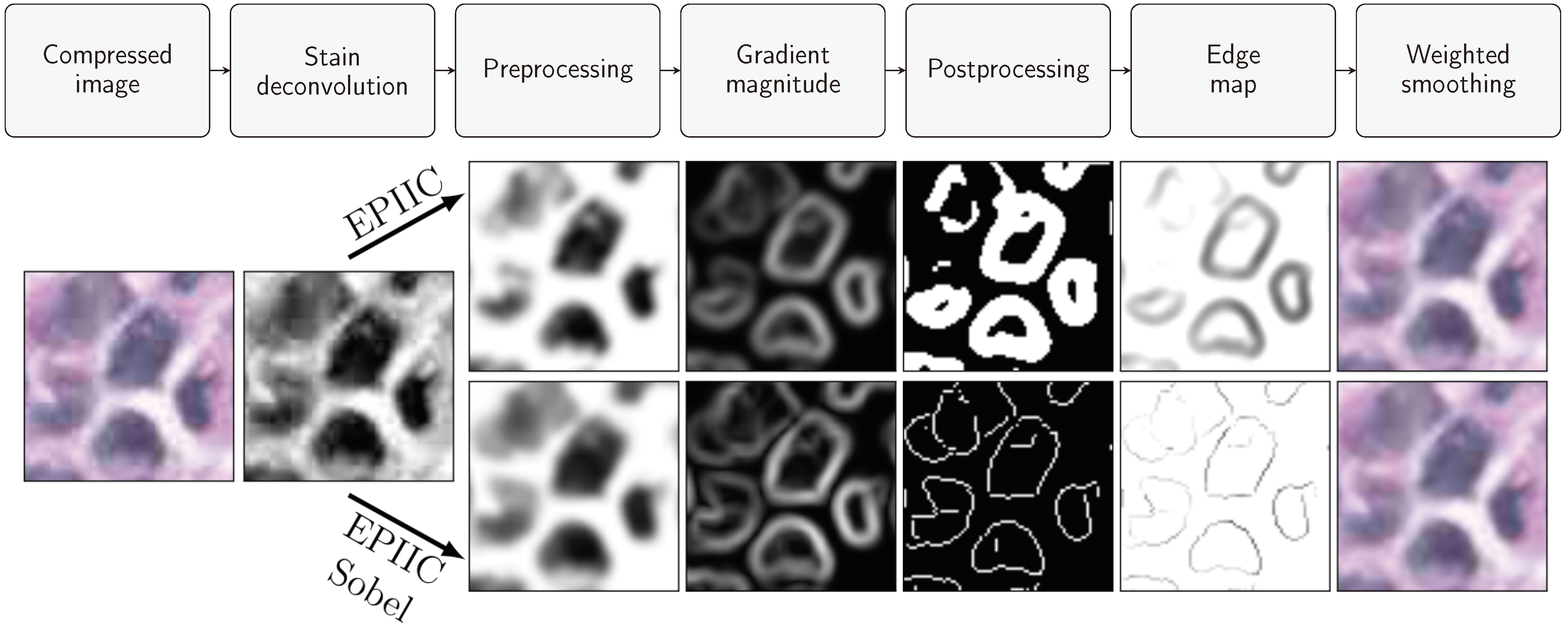 Applsci 15 04450 g001 Applsci 15 04450 g001
