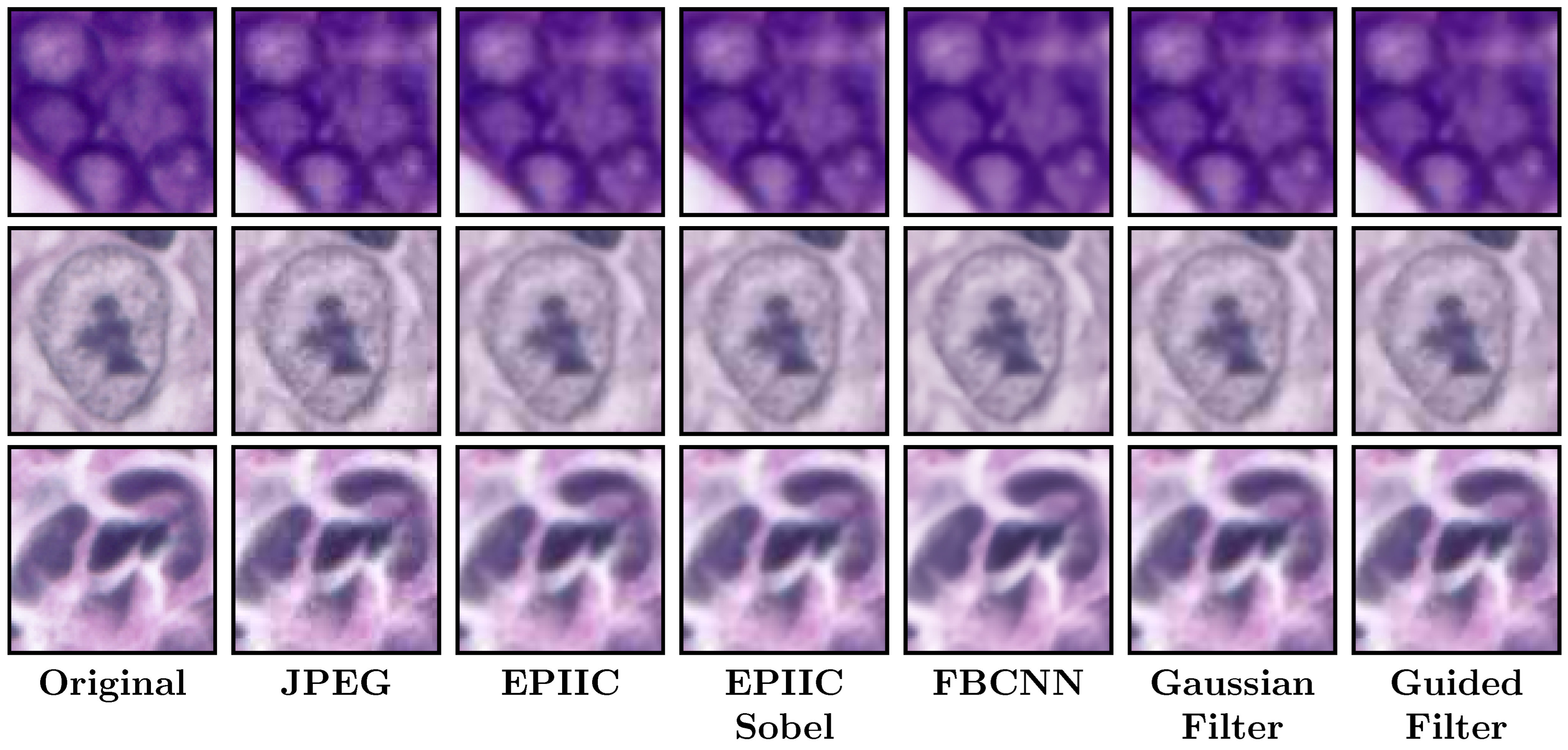 Applsci 15 04450 g003 Applsci 15 04450 g003