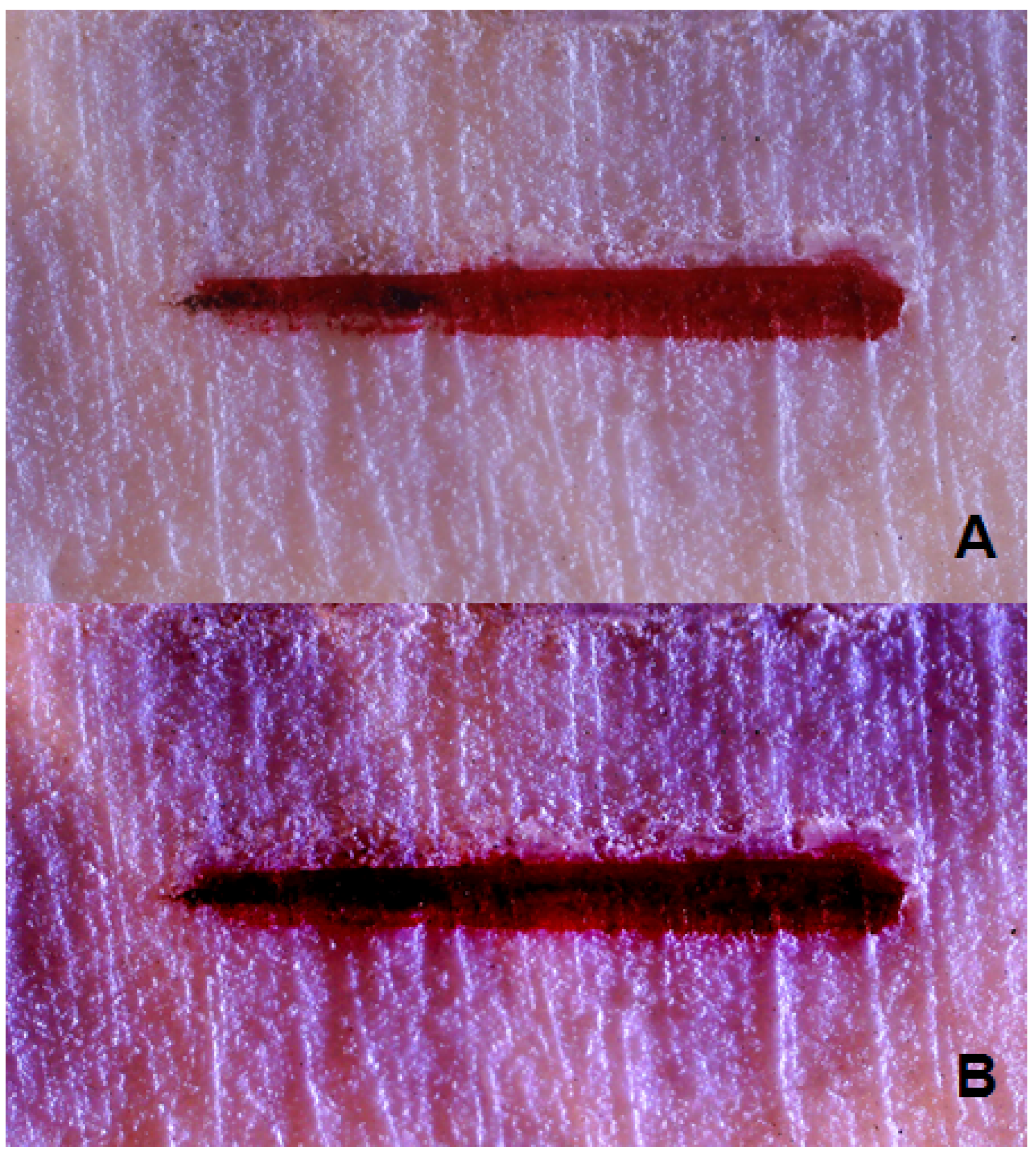 Applsci 15 04478 g004