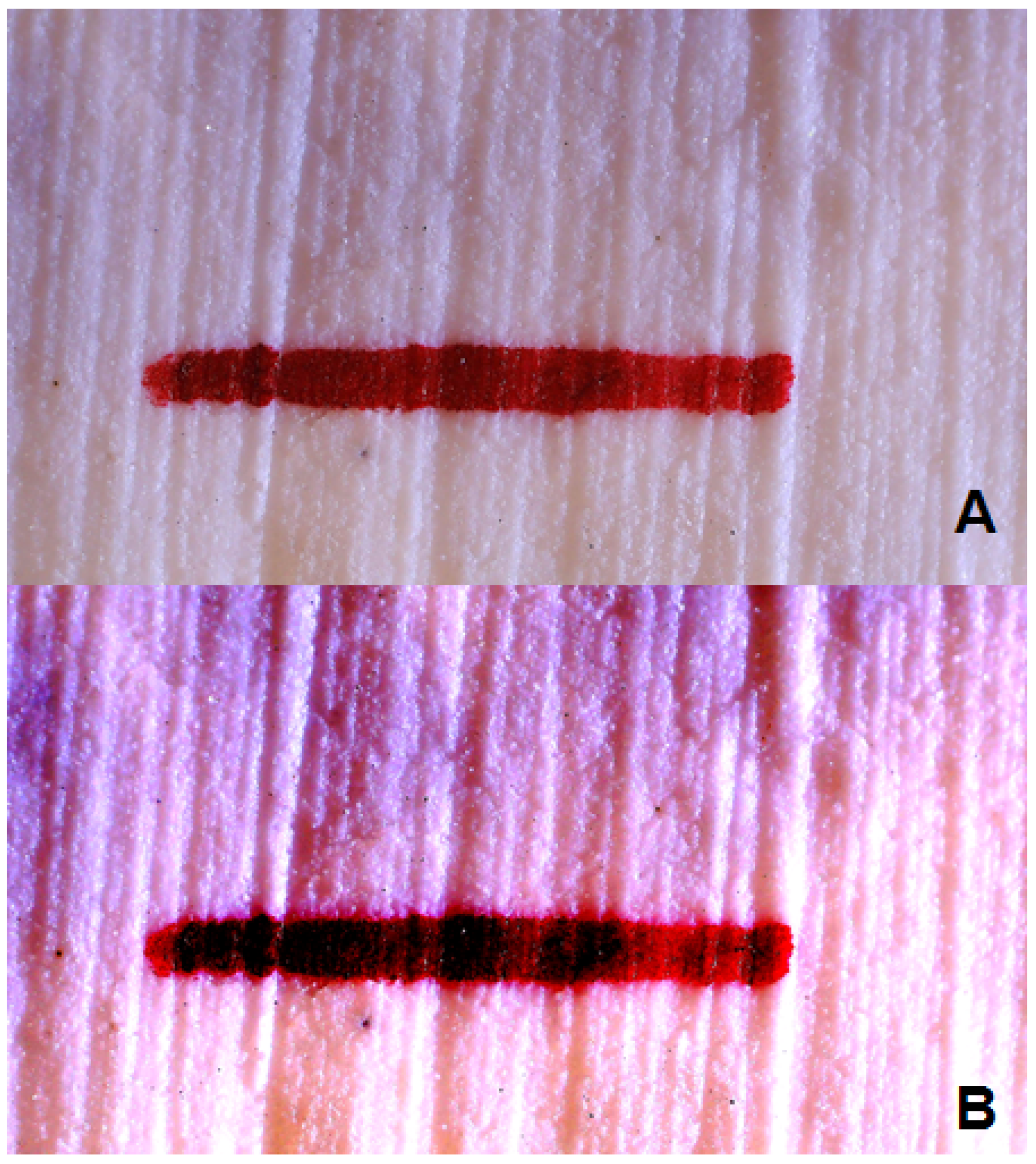 Applsci 15 04478 g005