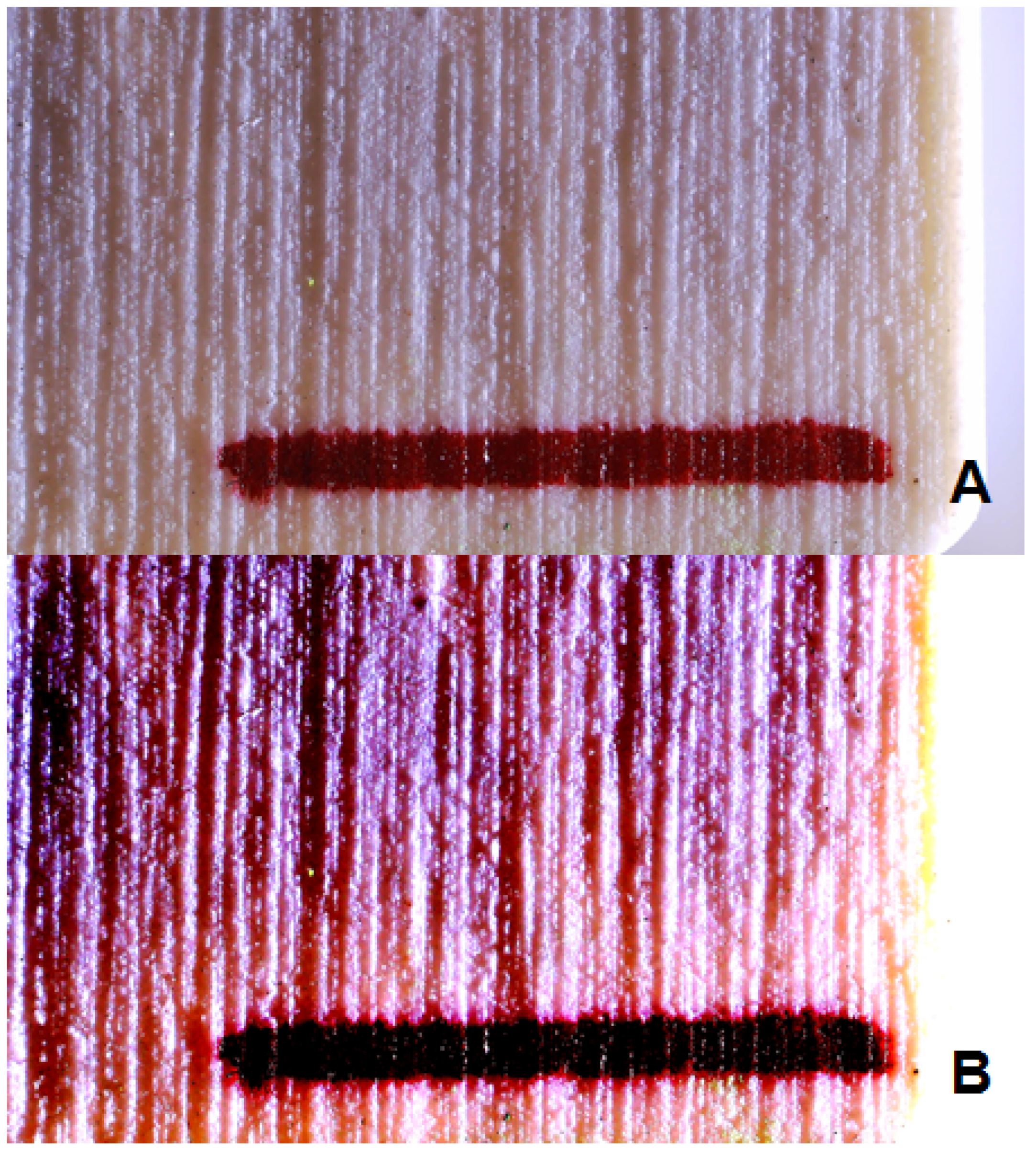 Applsci 15 04478 g006