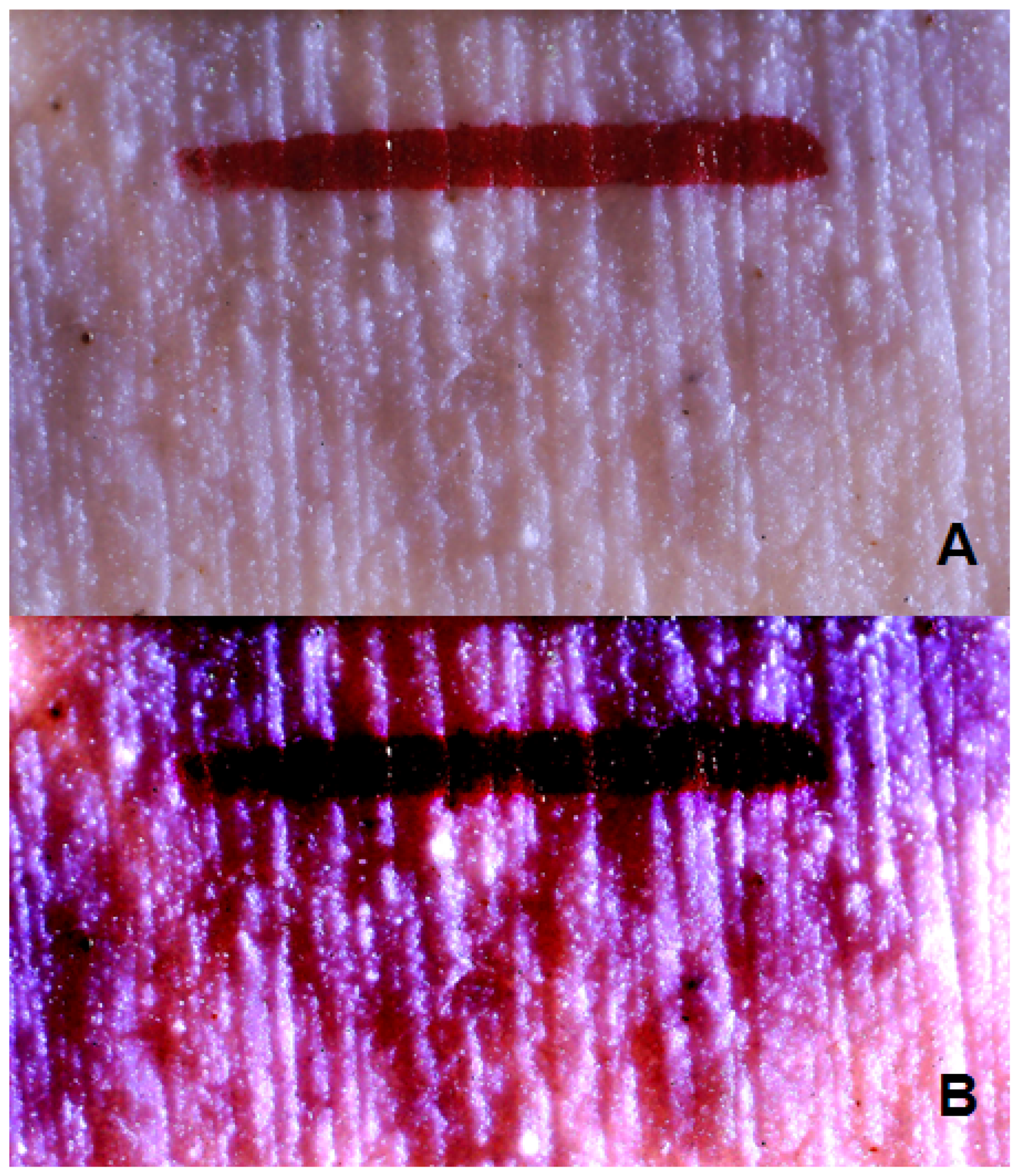 Applsci 15 04478 g007