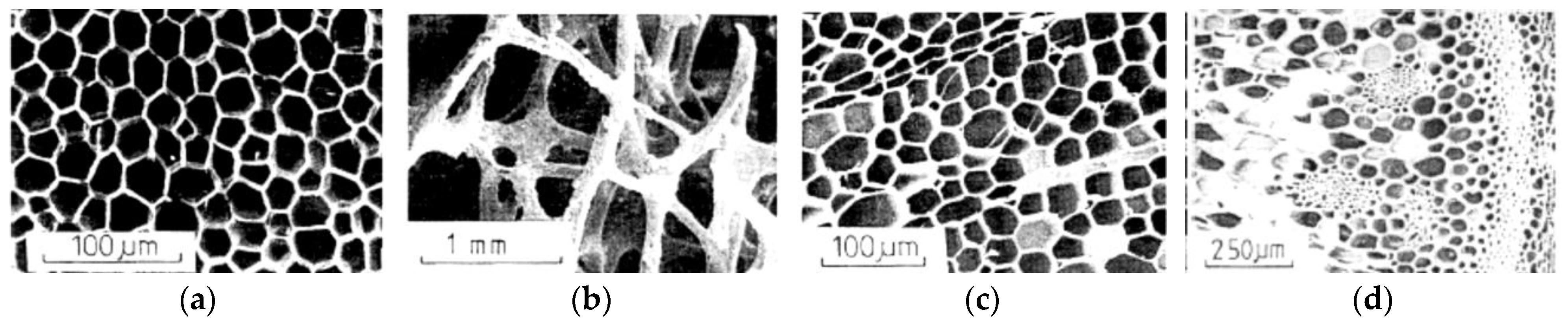 Applsci 15 04484 g001