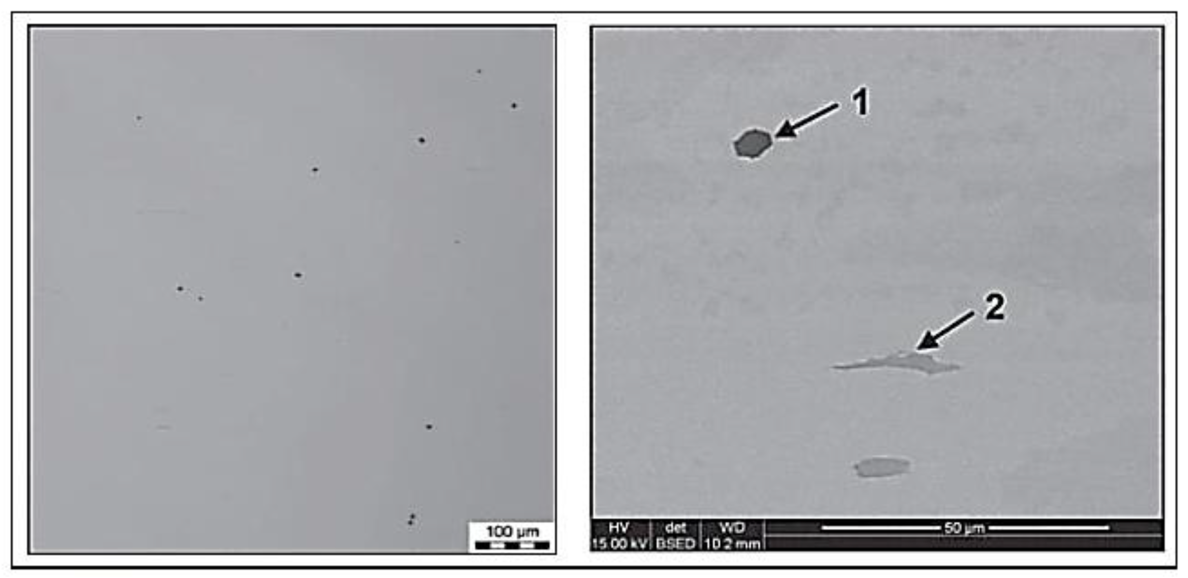 Applsci 15 04484 g002