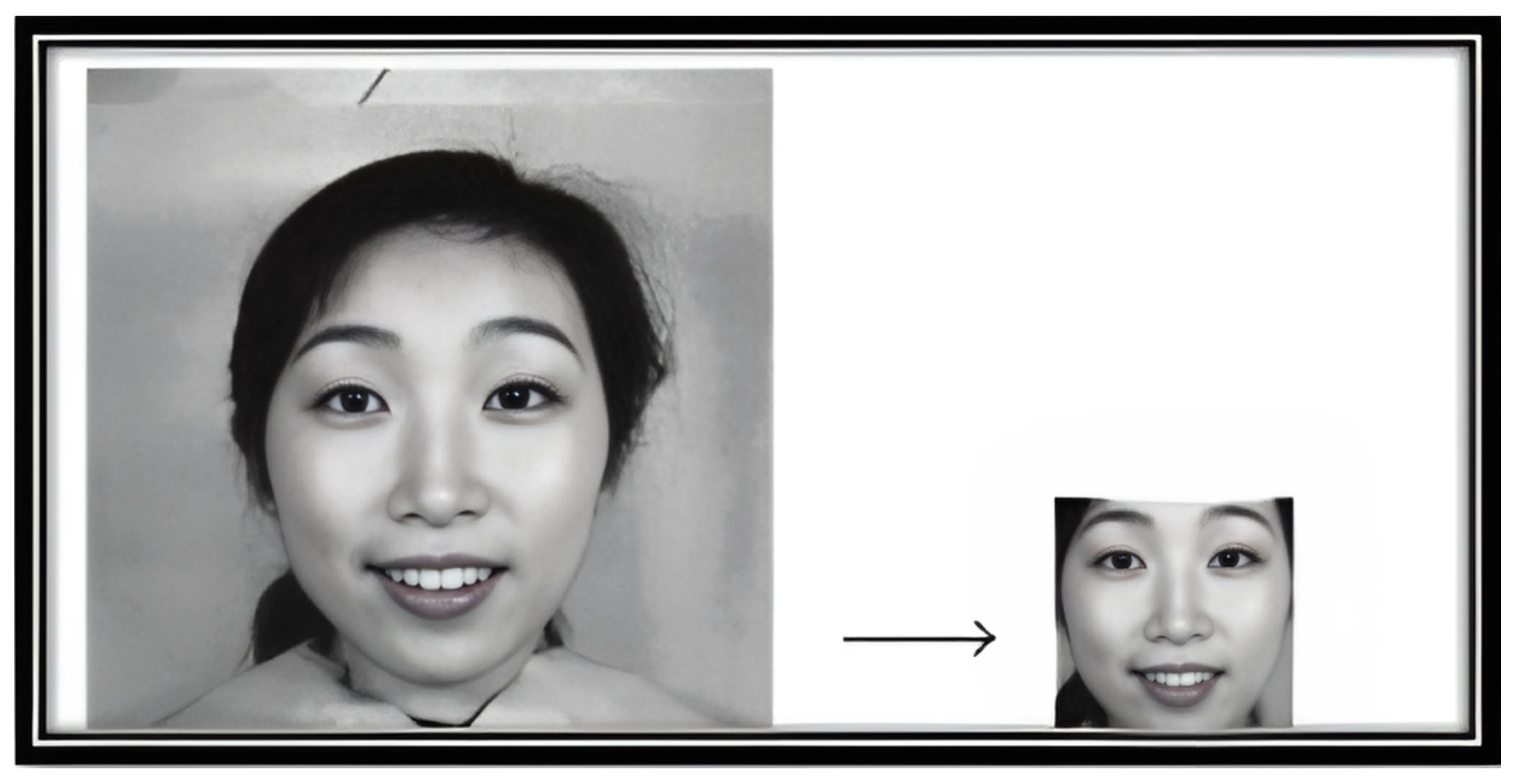 Applsci 15 04506 g006