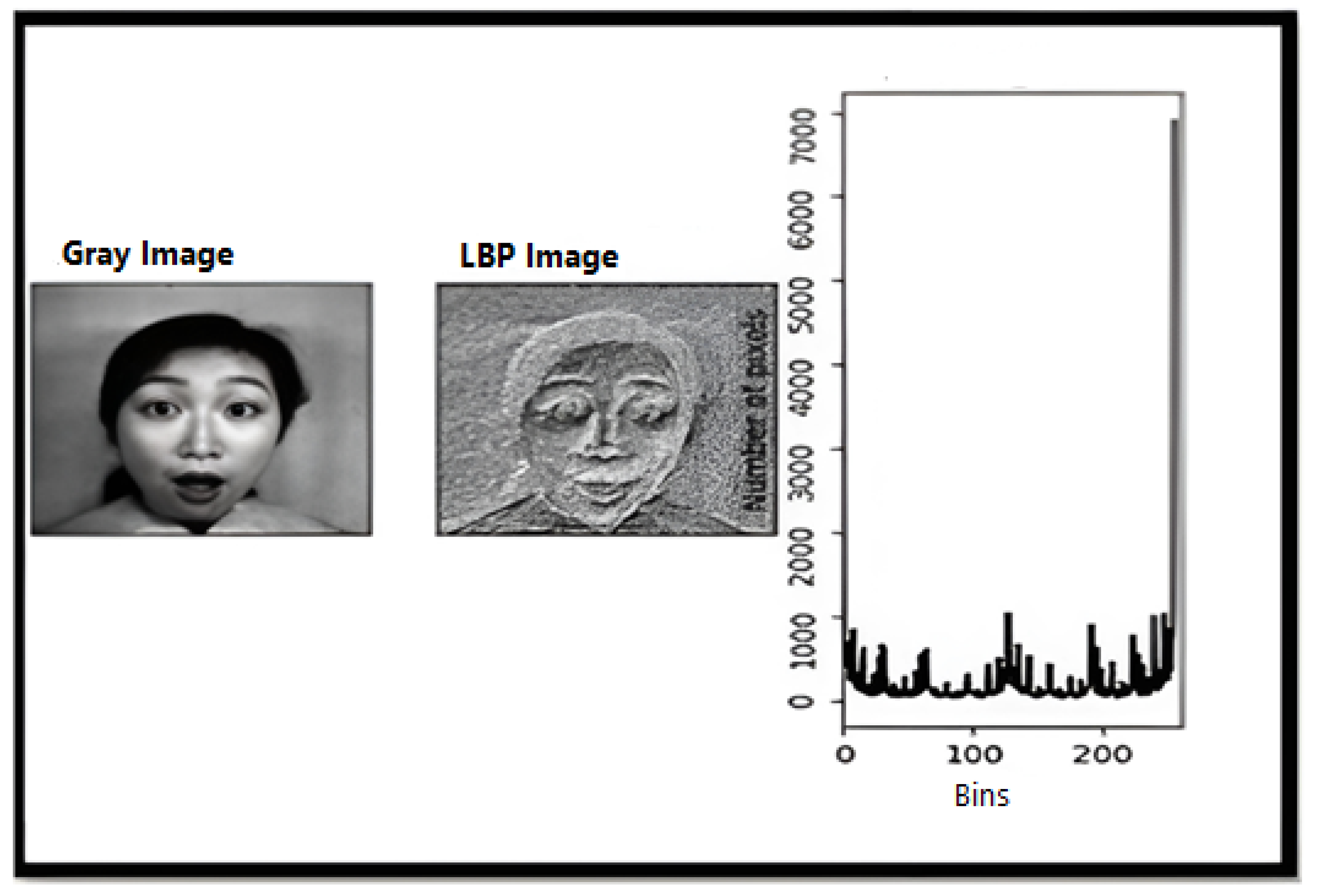 Applsci 15 04506 g007