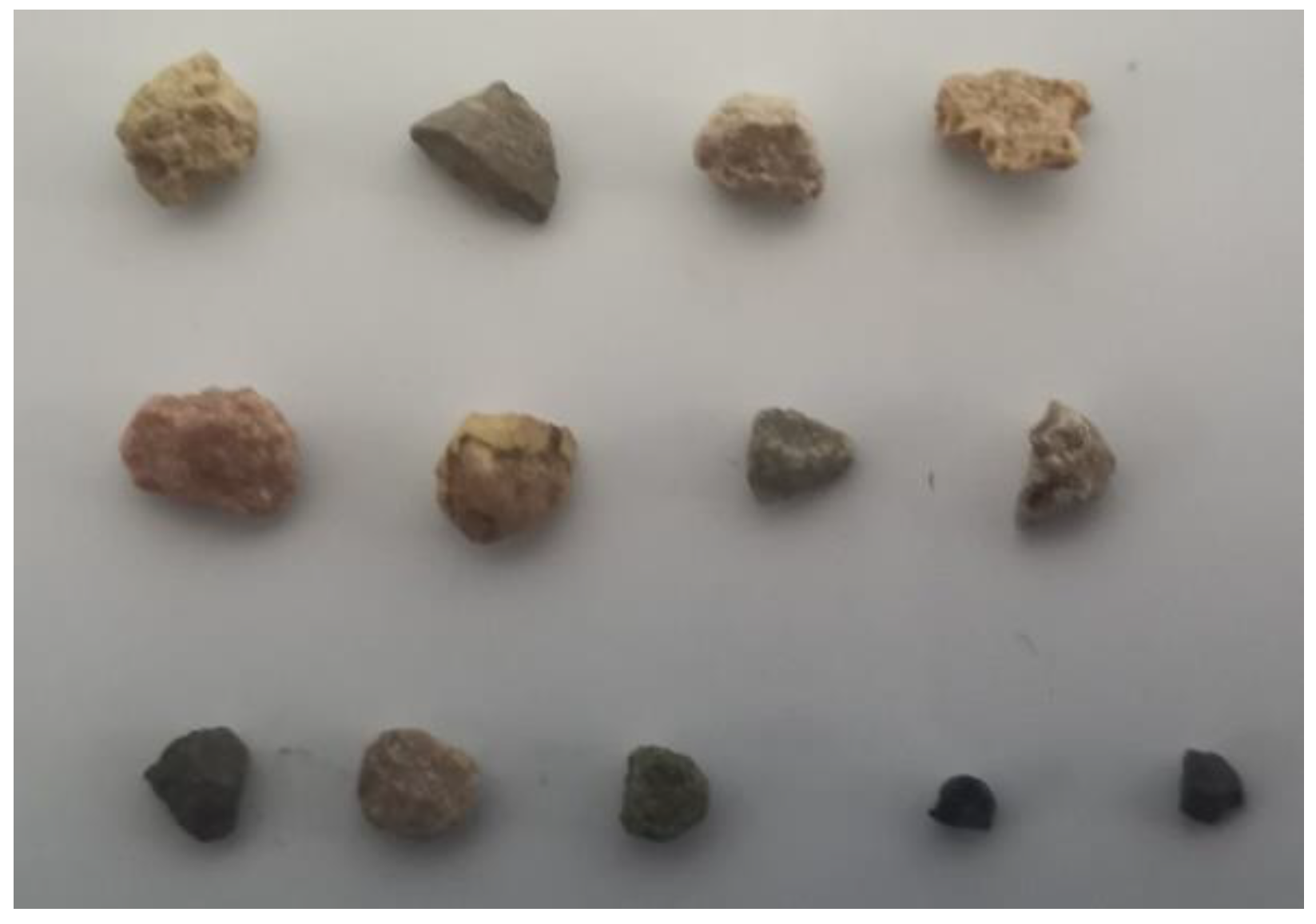 Applsci 15 04563 g010