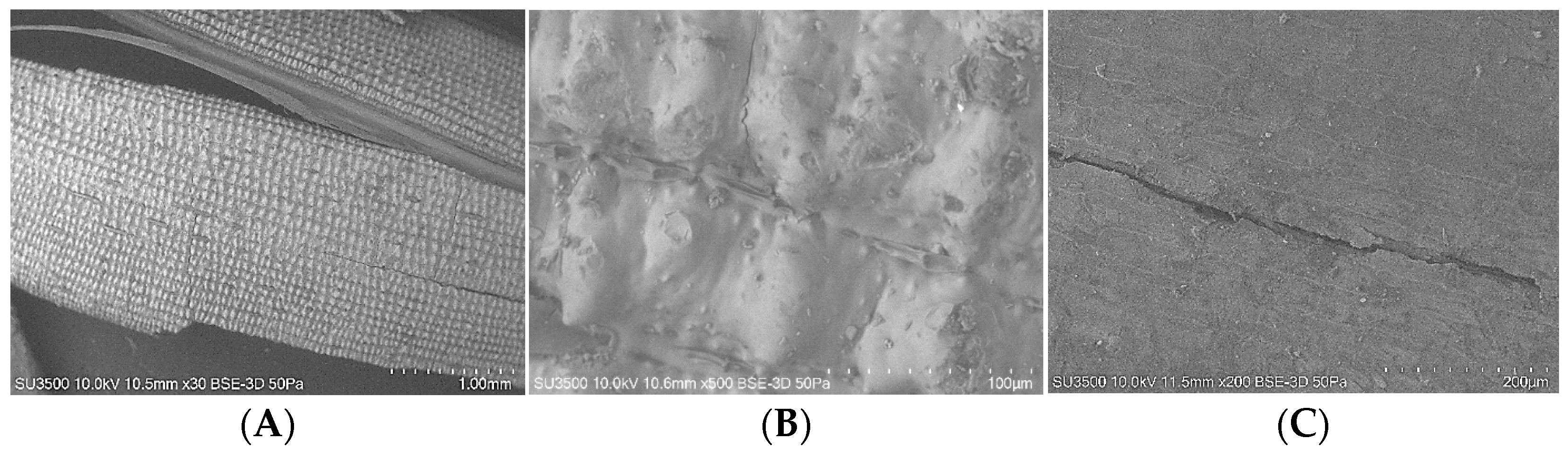 Applsci 15 04602 g010 Applsci 15 04602 g010