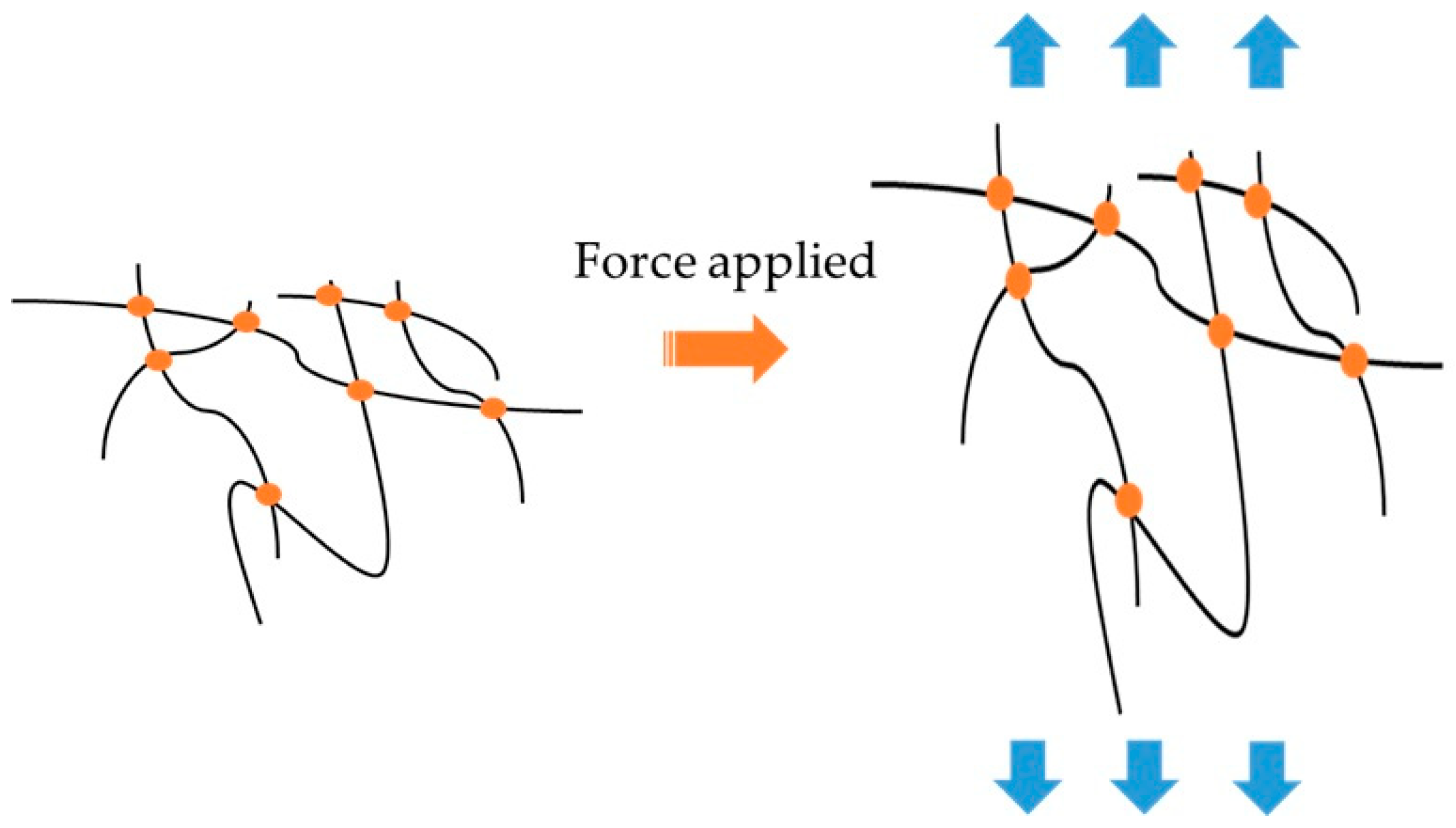 Applsci 15 04618 g009 Applsci 15 04618 g009