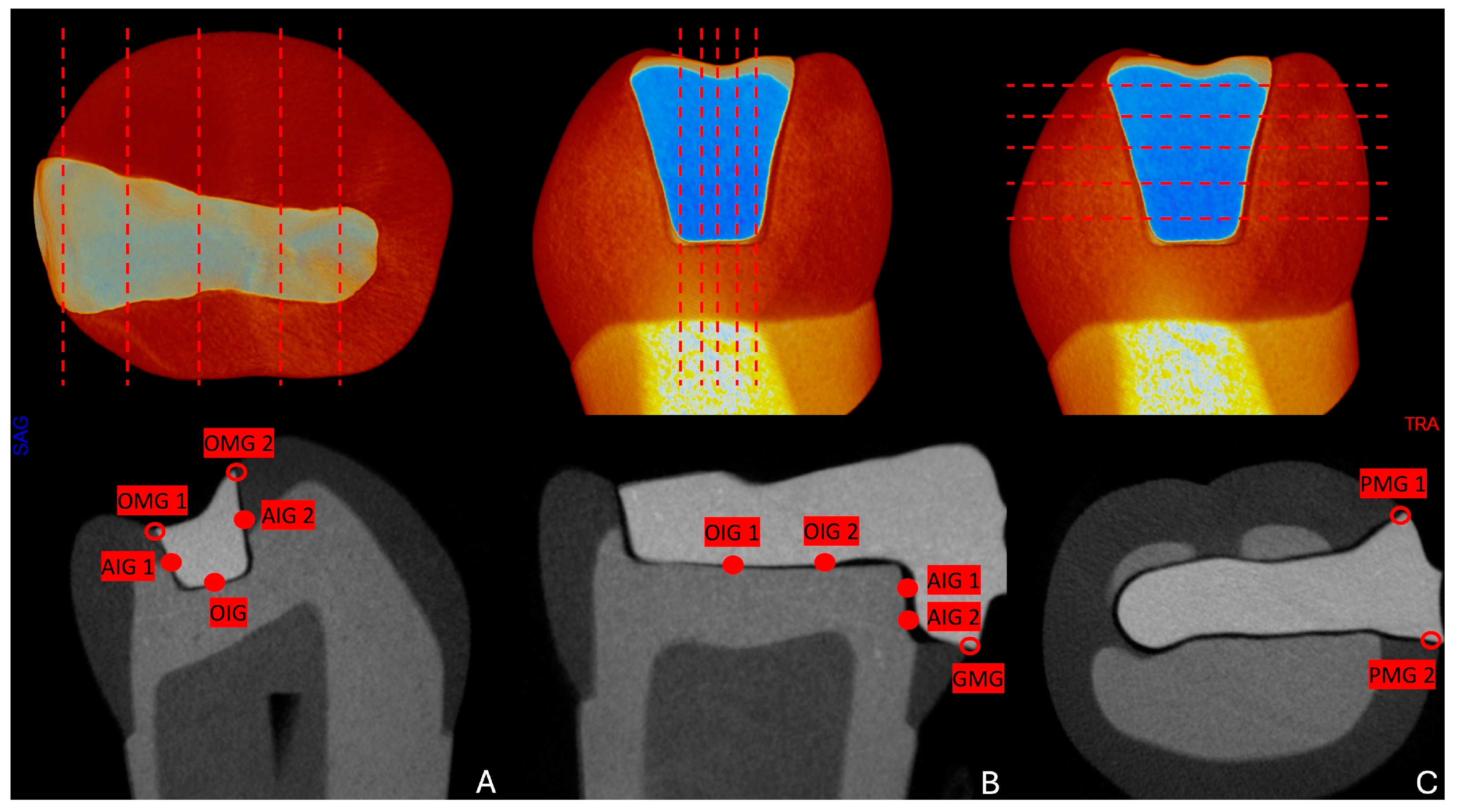 Applsci 15 04626 g001