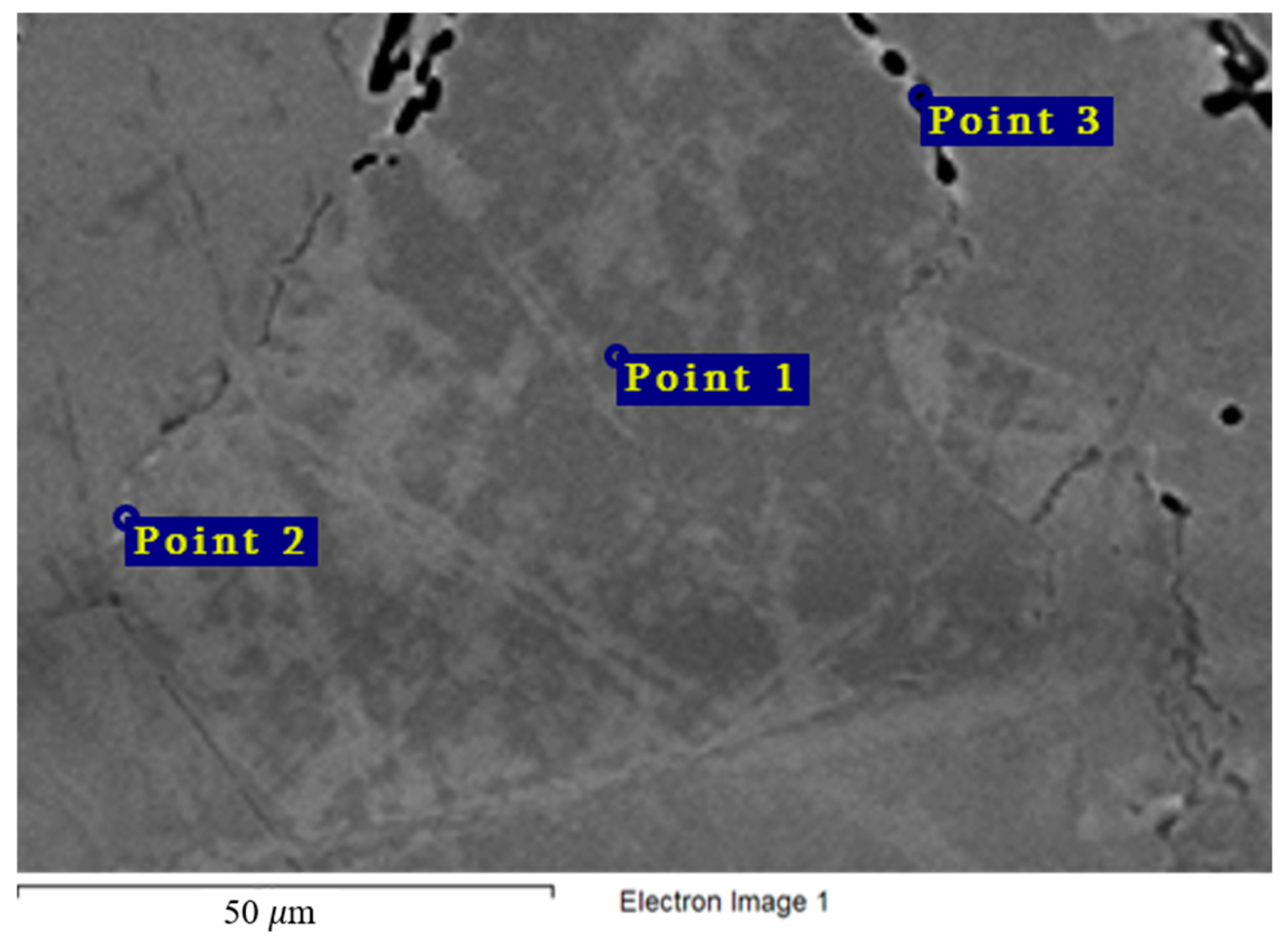 Applsci 15 04753 g012