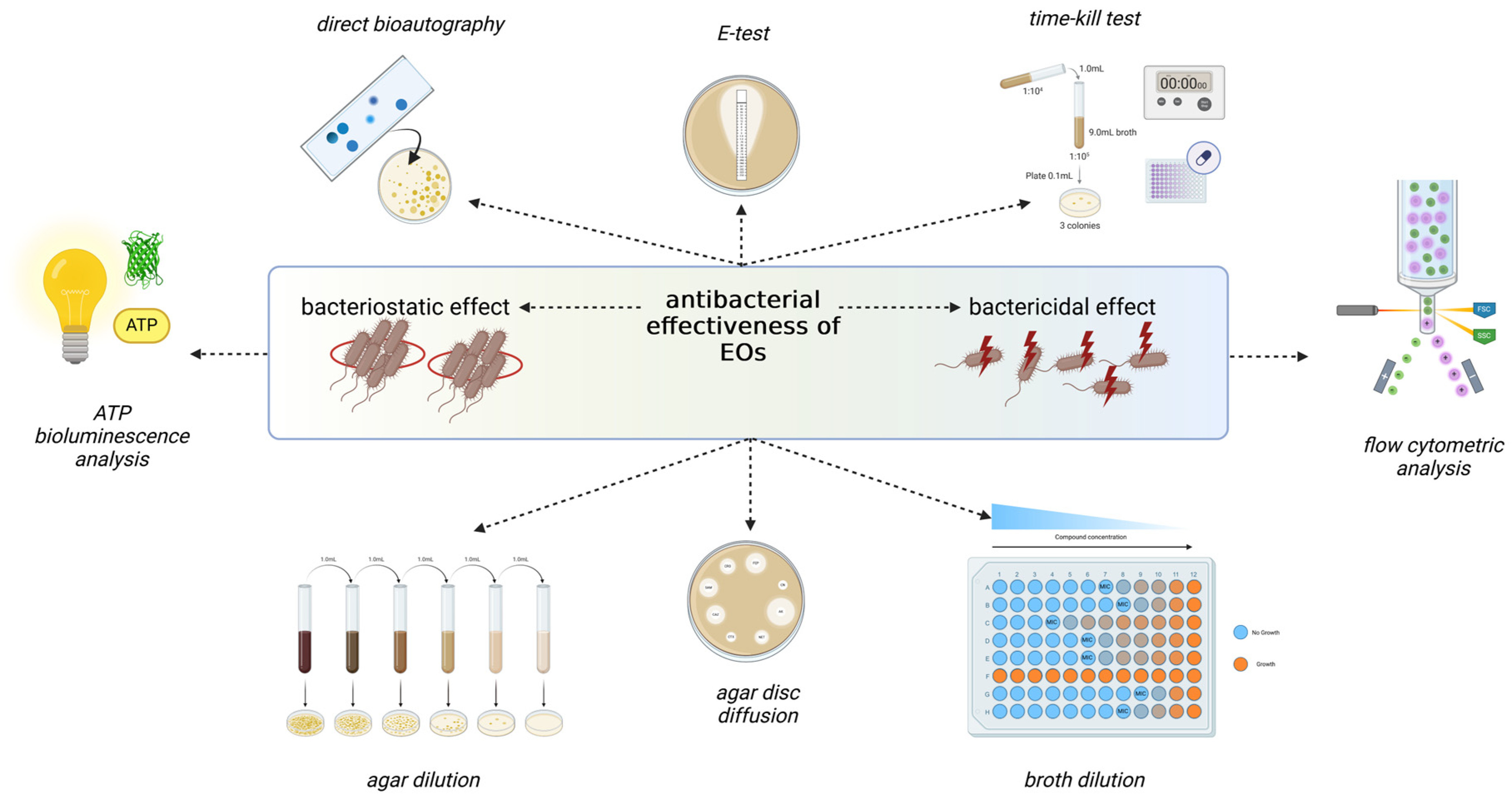 Applsci 15 04772 g001