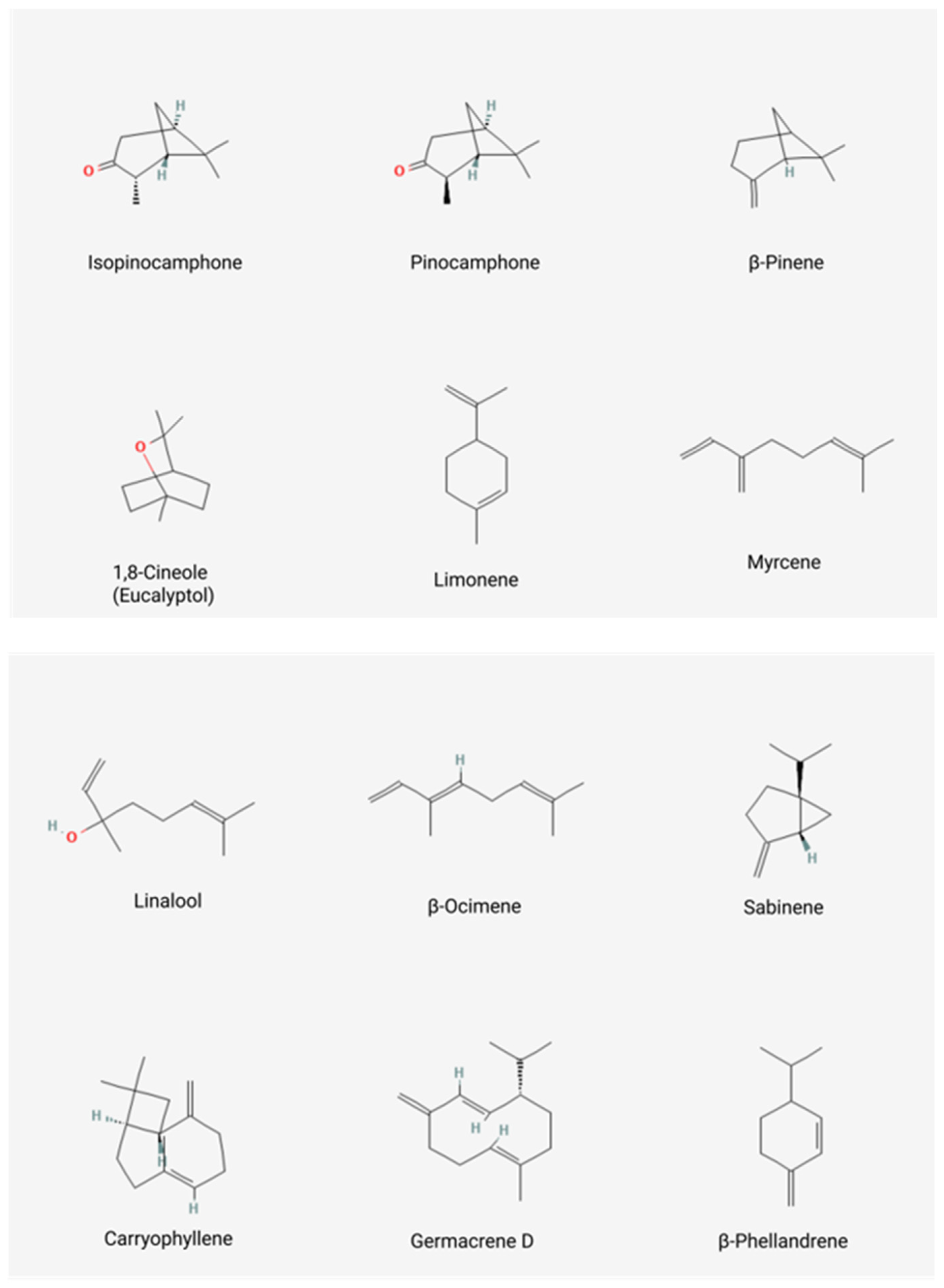 Applsci 15 04772 g003