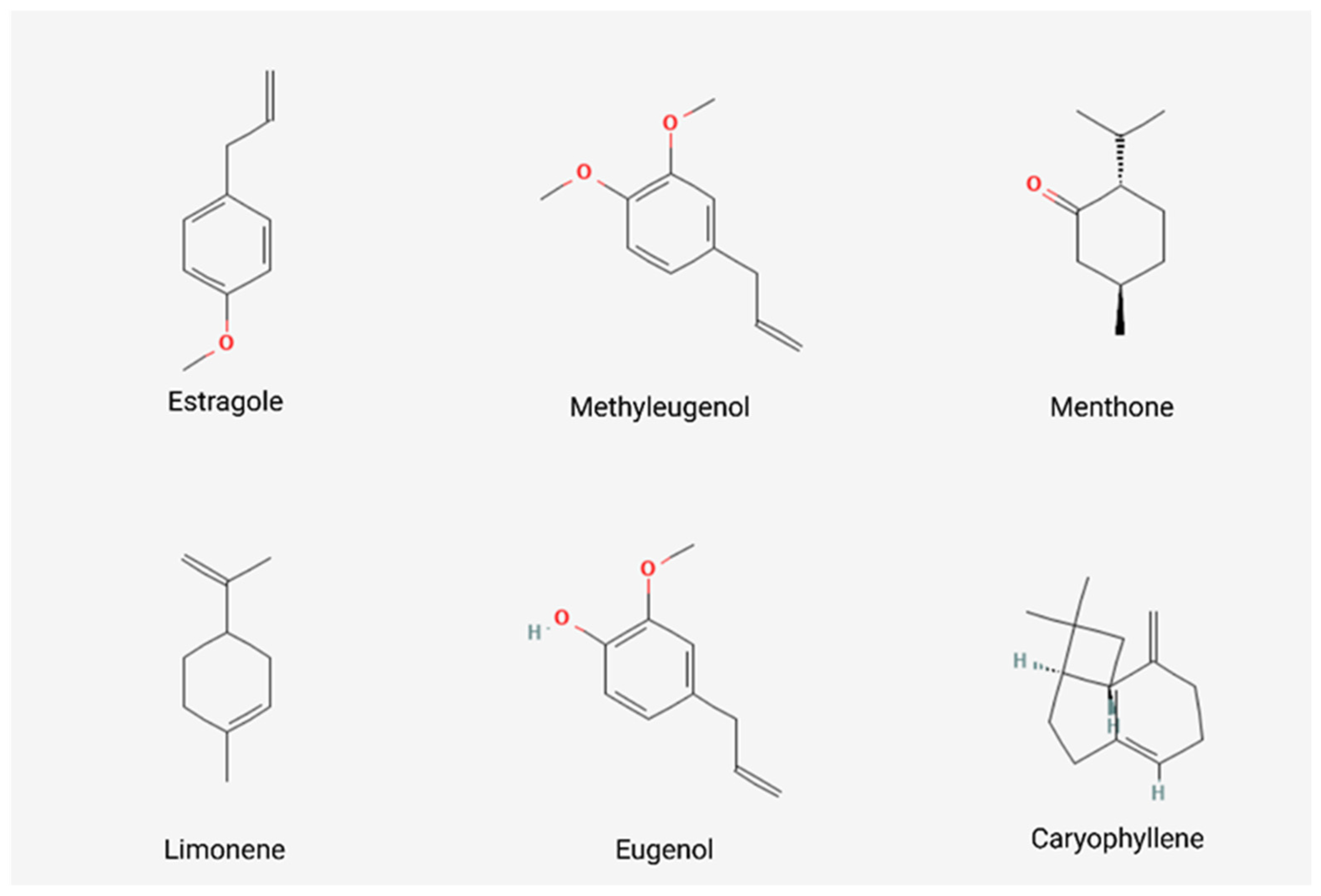 Applsci 15 04772 g005