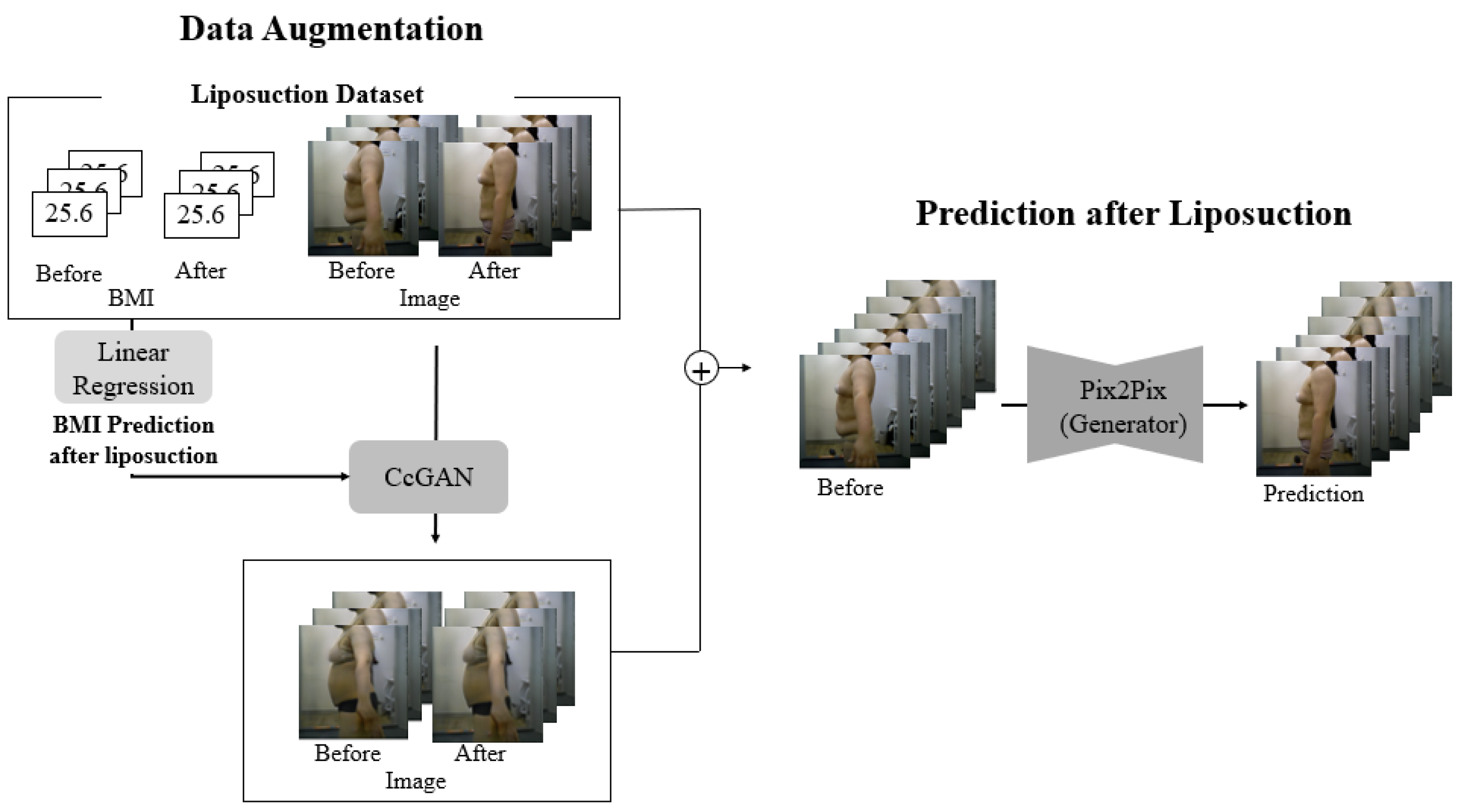 Applsci 15 04787 g001