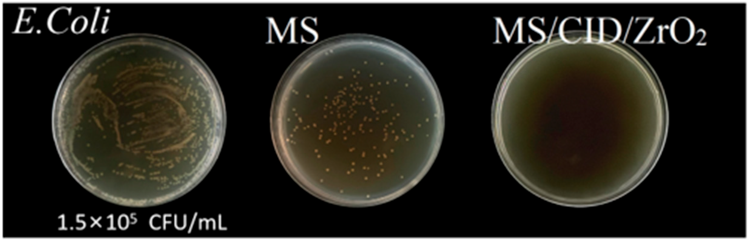 Applsci 15 04794 g007