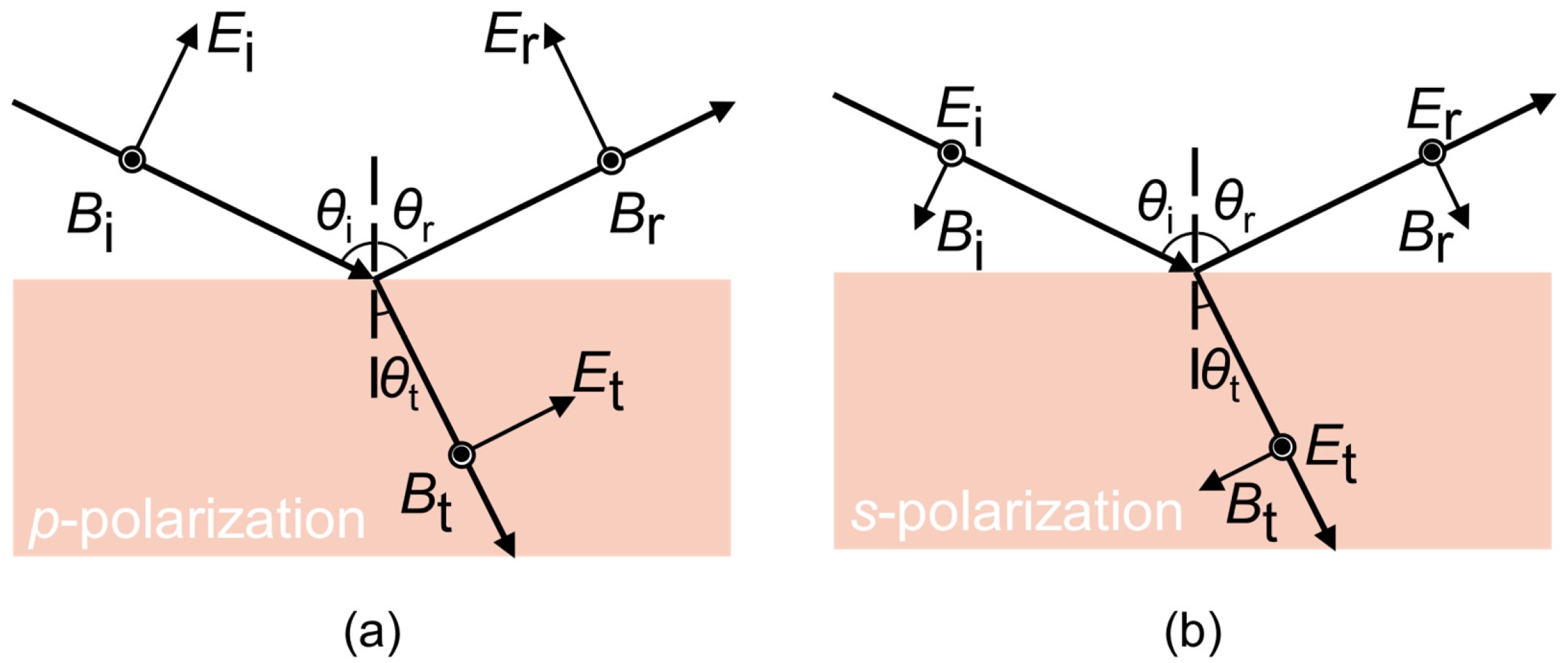 Applsci 15 04814 g001 Applsci 15 04814 g001