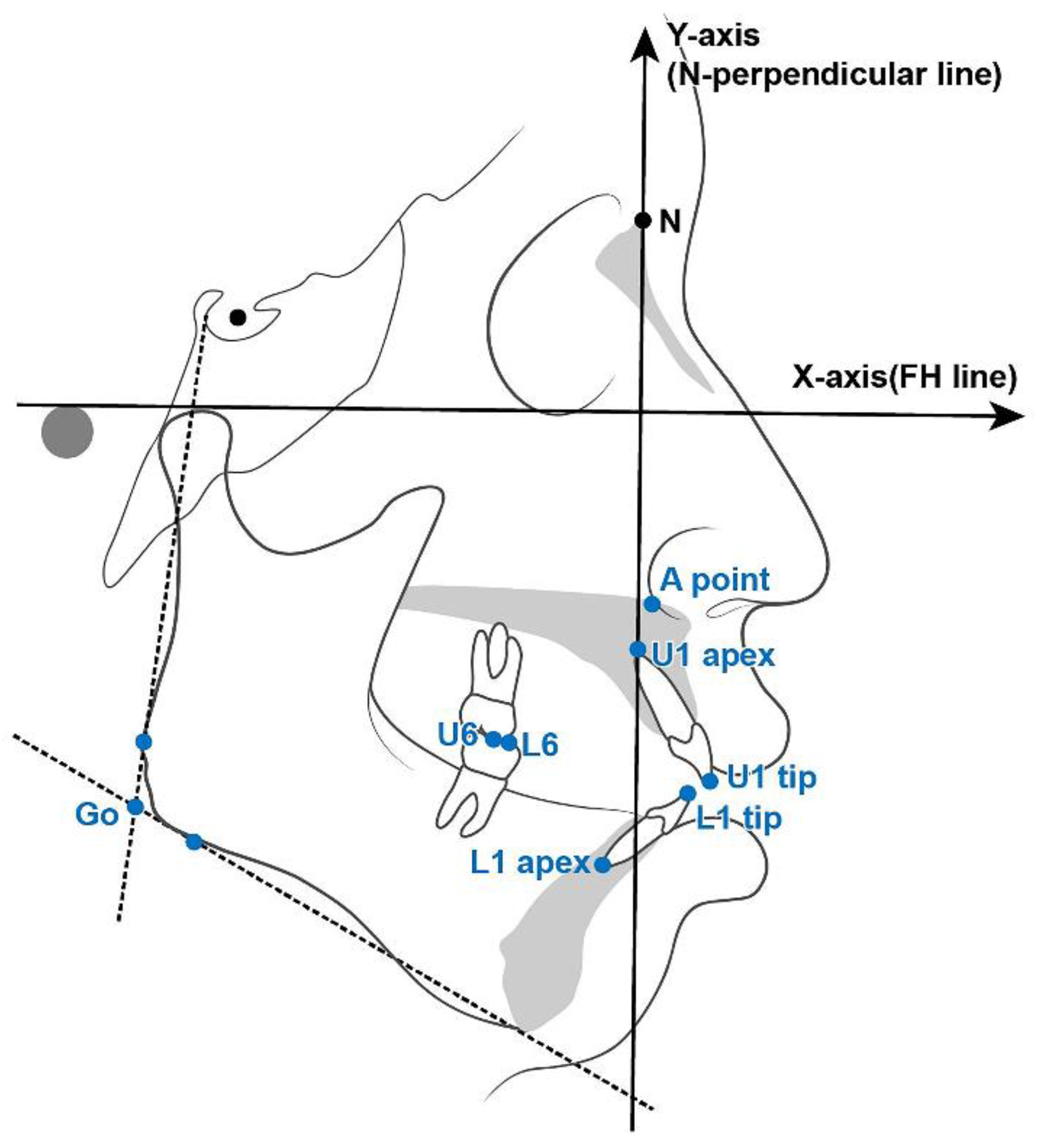 Applsci 15 04849 g001 Applsci 15 04849 g001