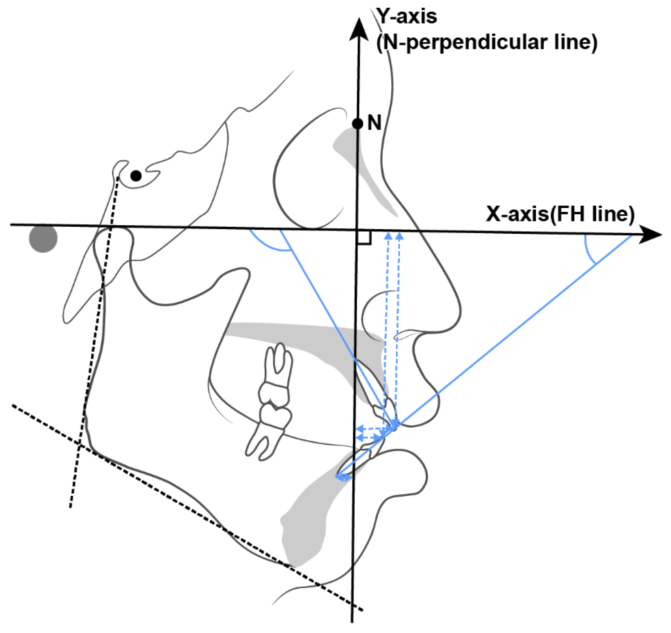 Applsci 15 04849 g002 Applsci 15 04849 g002