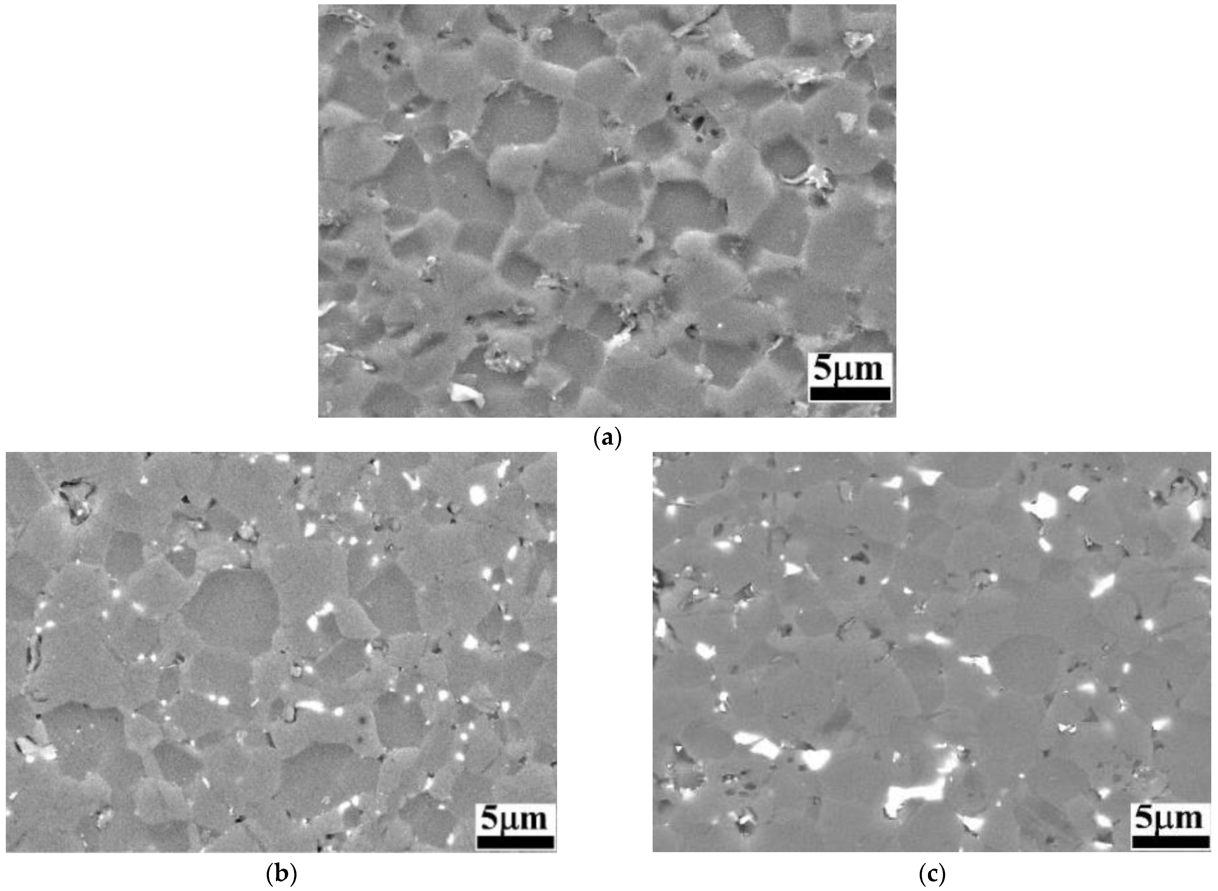 Applsci 15 04859 g002a