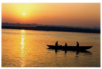 Applsci 15 04909 i010