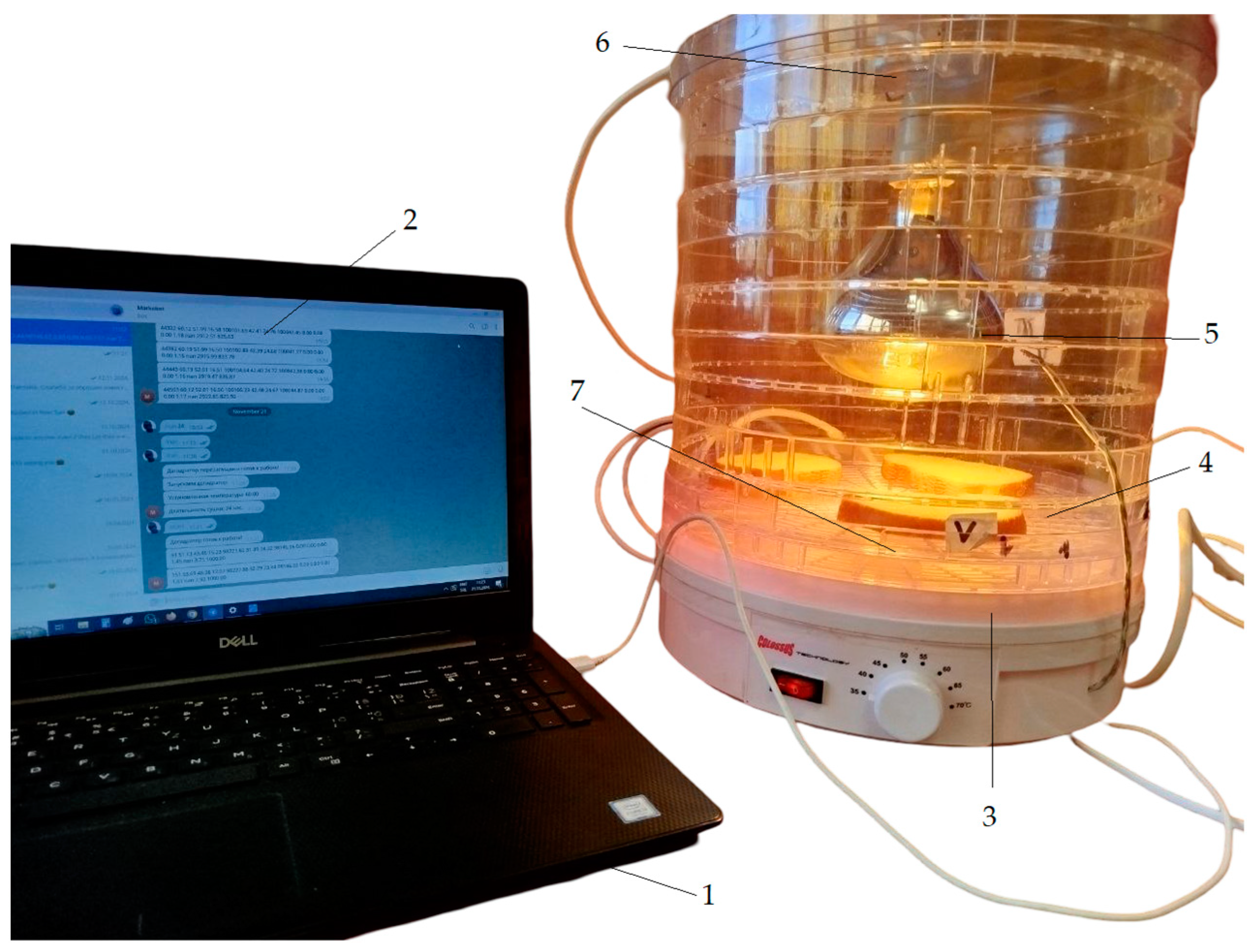 Applsci 15 04964 g003